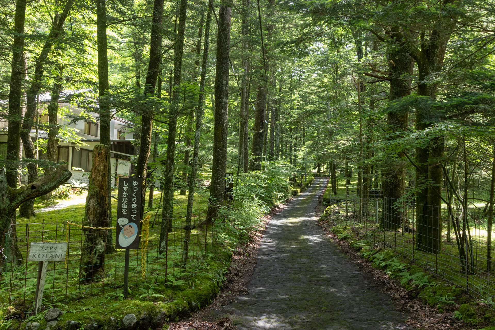 "Happy Valley" - named by the Americans