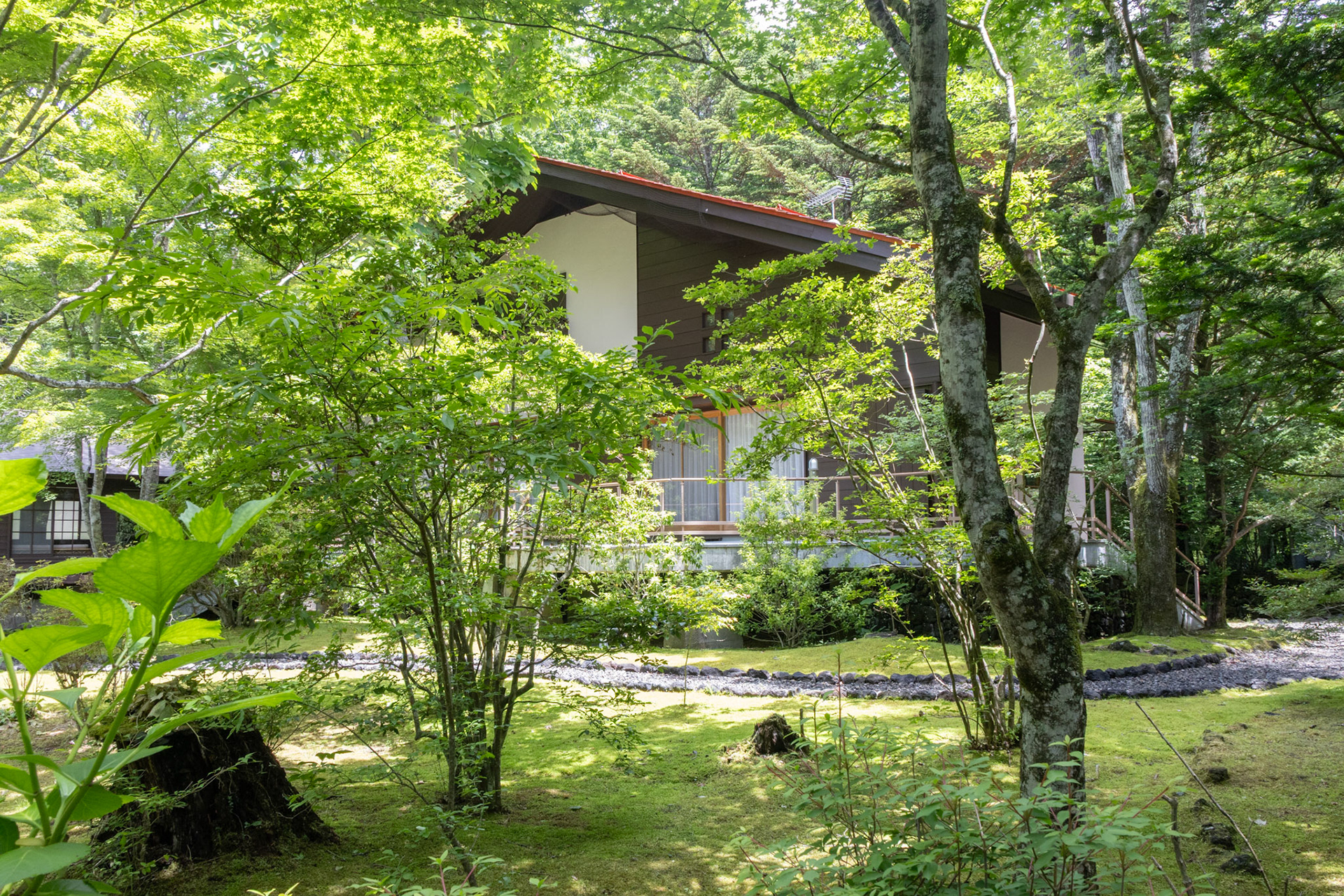 One of the many posh houses in the forest