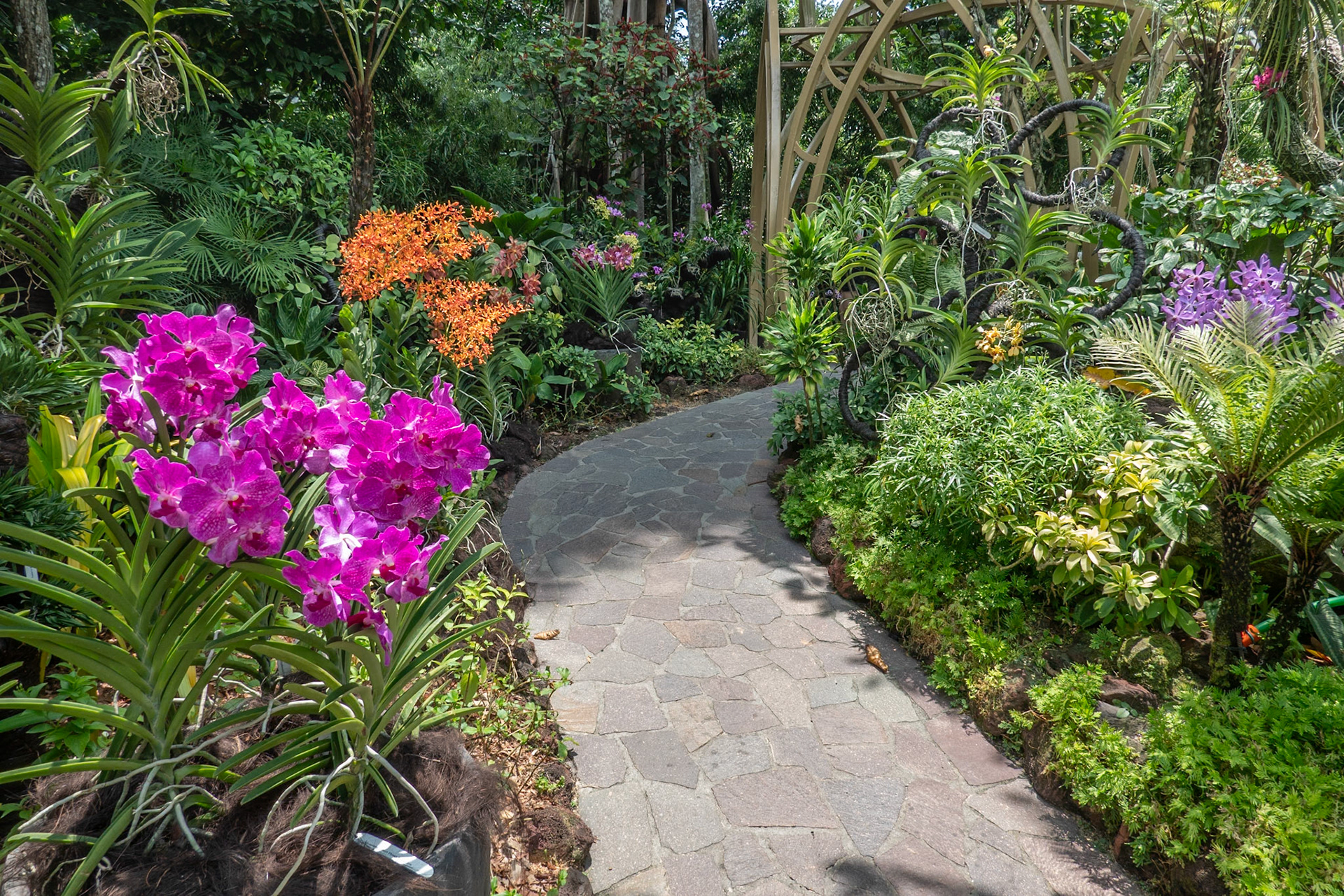 Orchid gardens