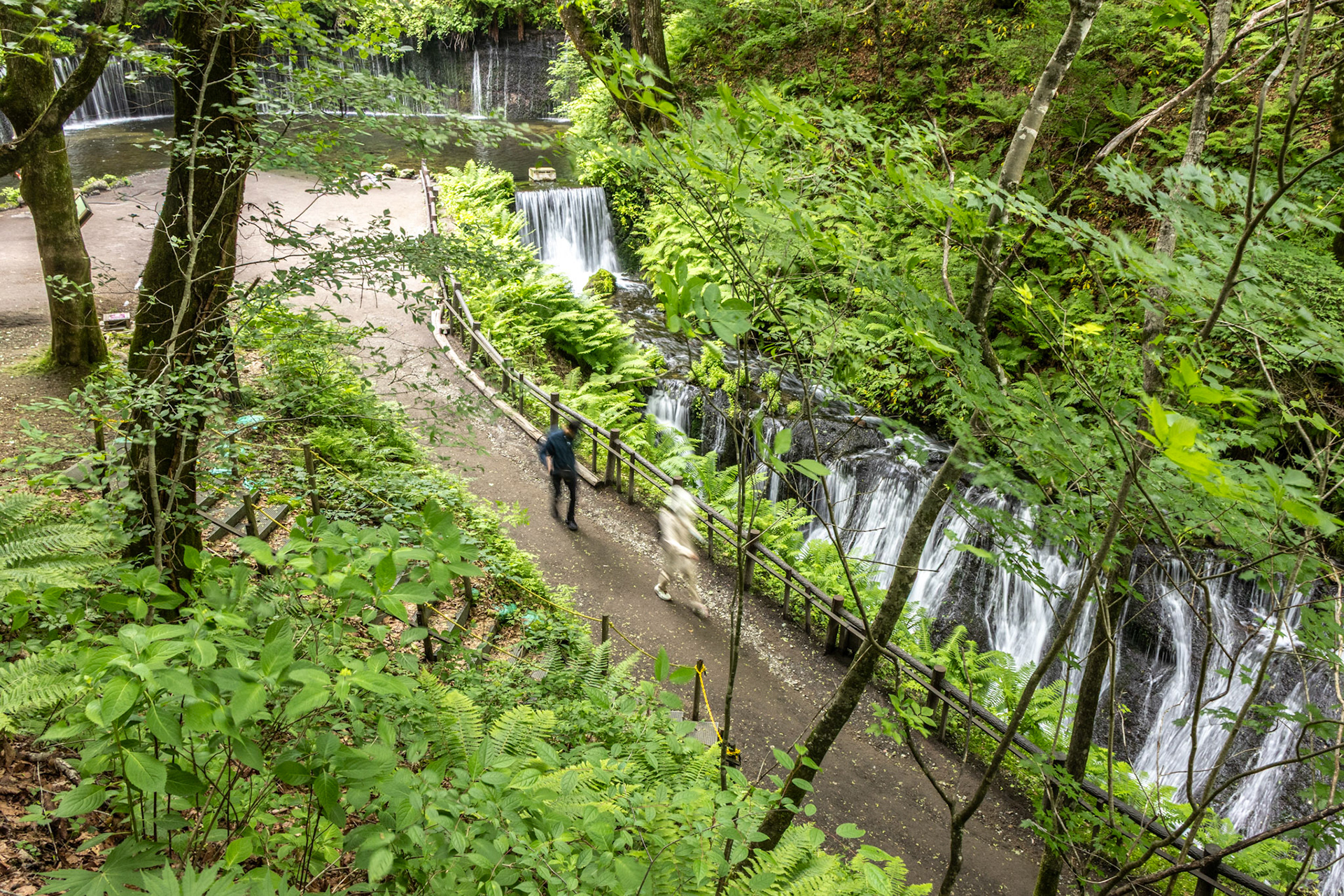 Shiraito falls. Water comes straight out of springs on the fat left