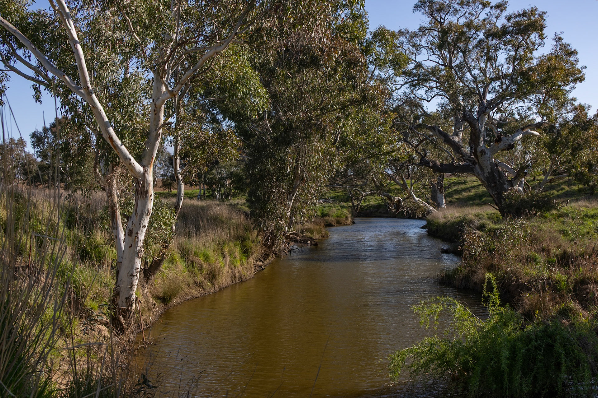 Boorowa River