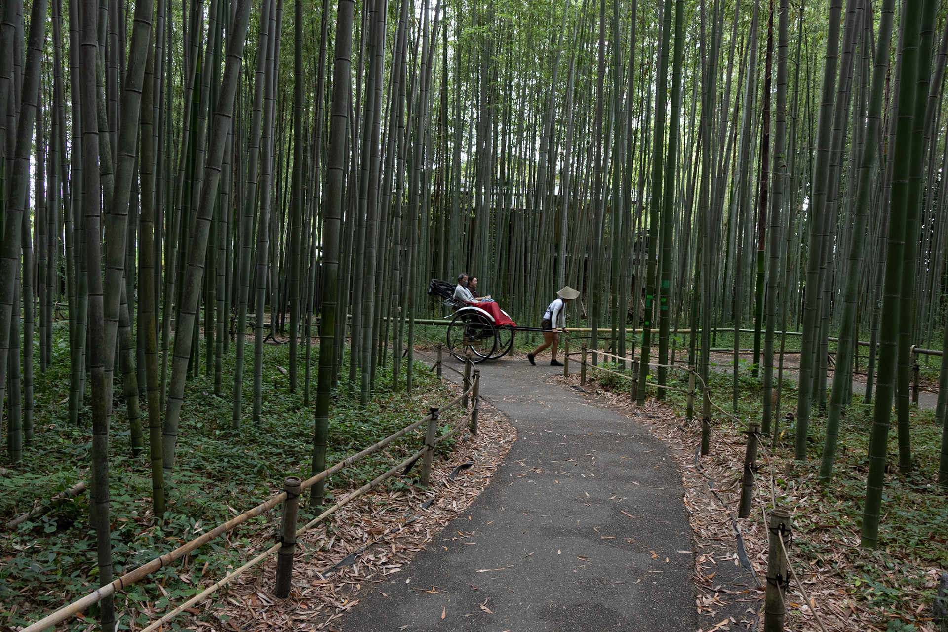 Arashiyama Bamboo Forest. I thought the bamboo forest in Adashino Nenbutsuji Temple was much better, and far fewer people