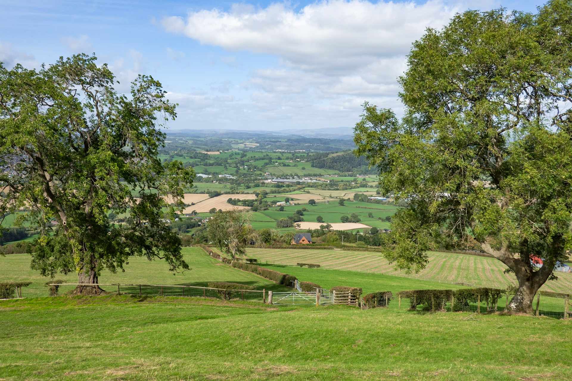 View towards Buttington