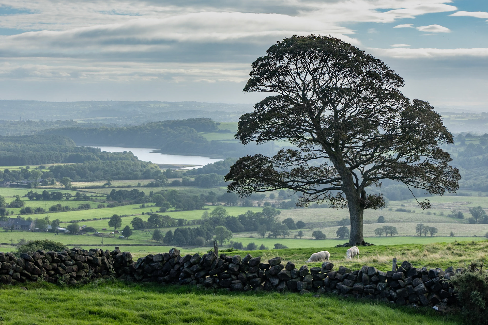 View from the Roaches