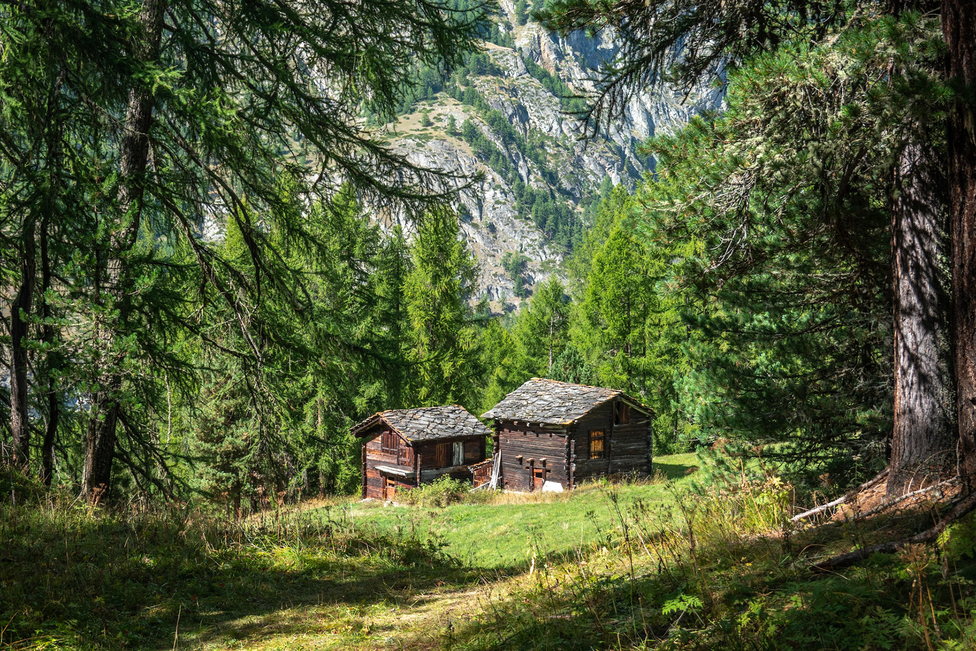 Huts in forest