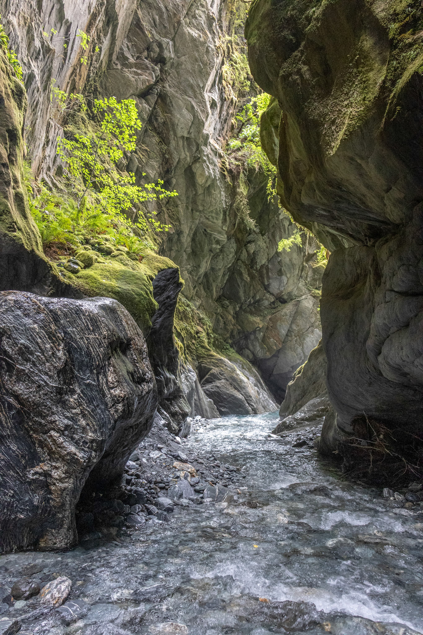 Wilson's Creek Chasm - definitely a wet boot and wet person walk