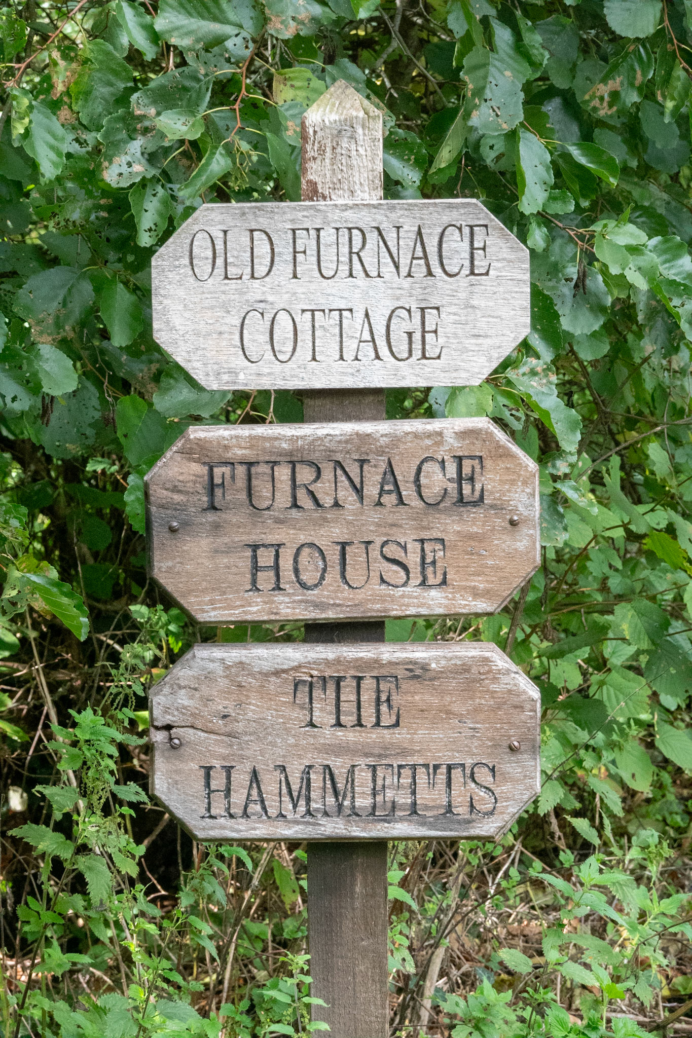 Signs, Angidy Trail