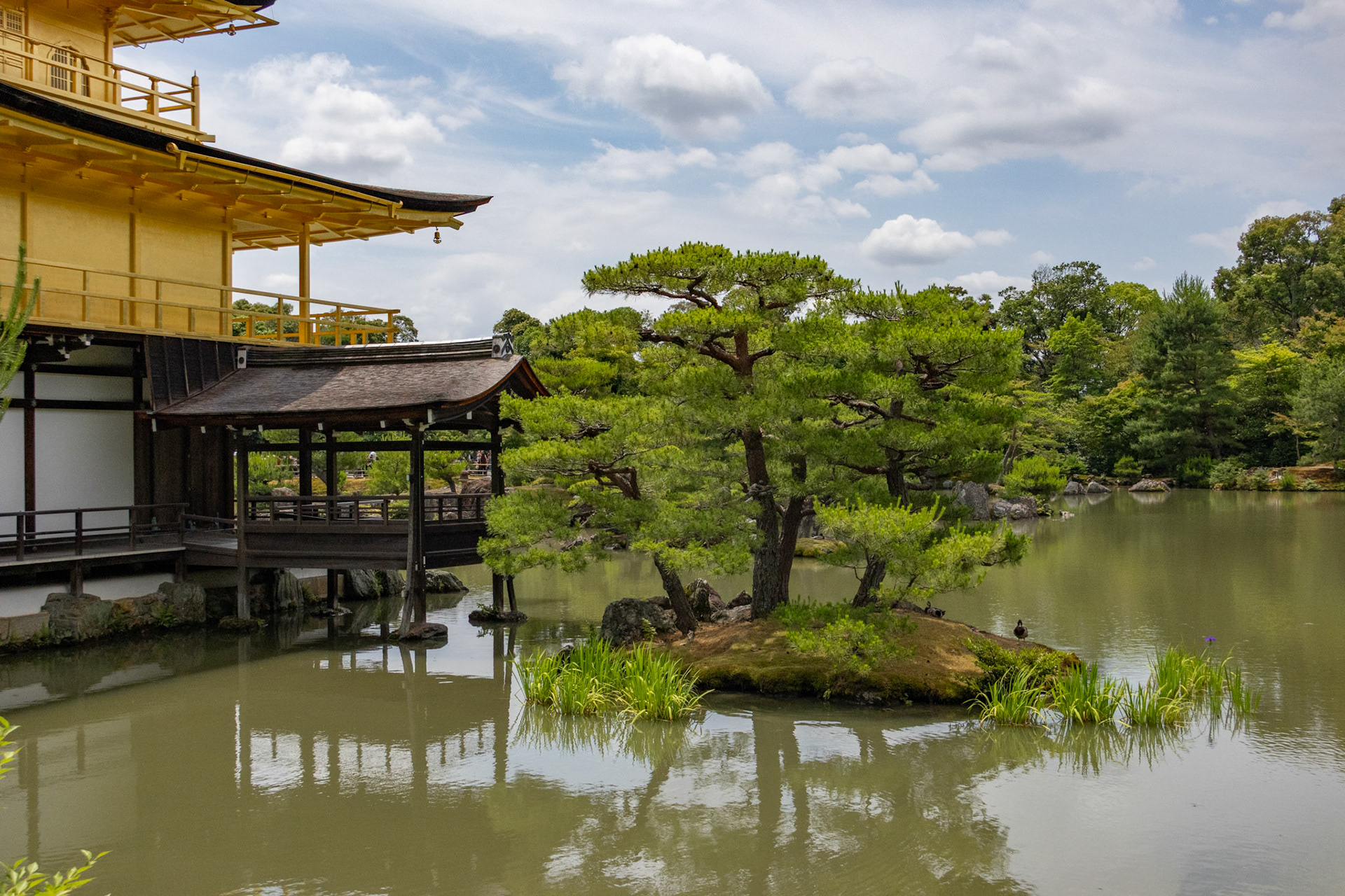 School party, Kinkaku-ji (Golden Pavilion)