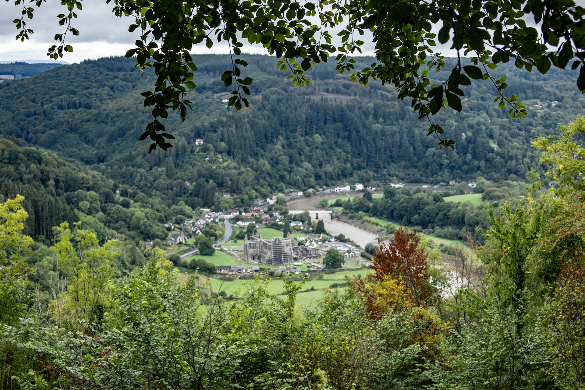 Tintern from lookout
