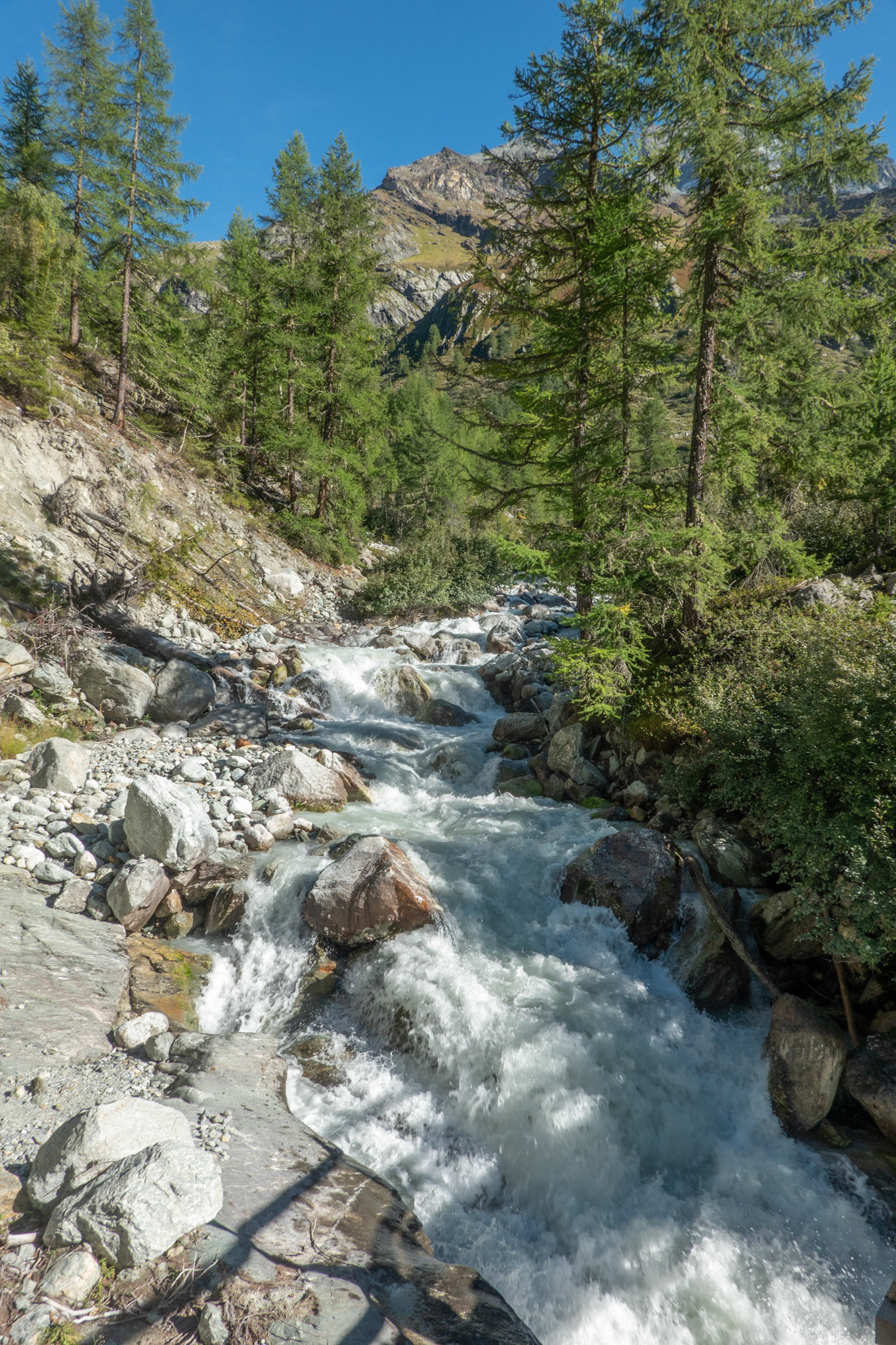 Torrent de l'Arpitetta