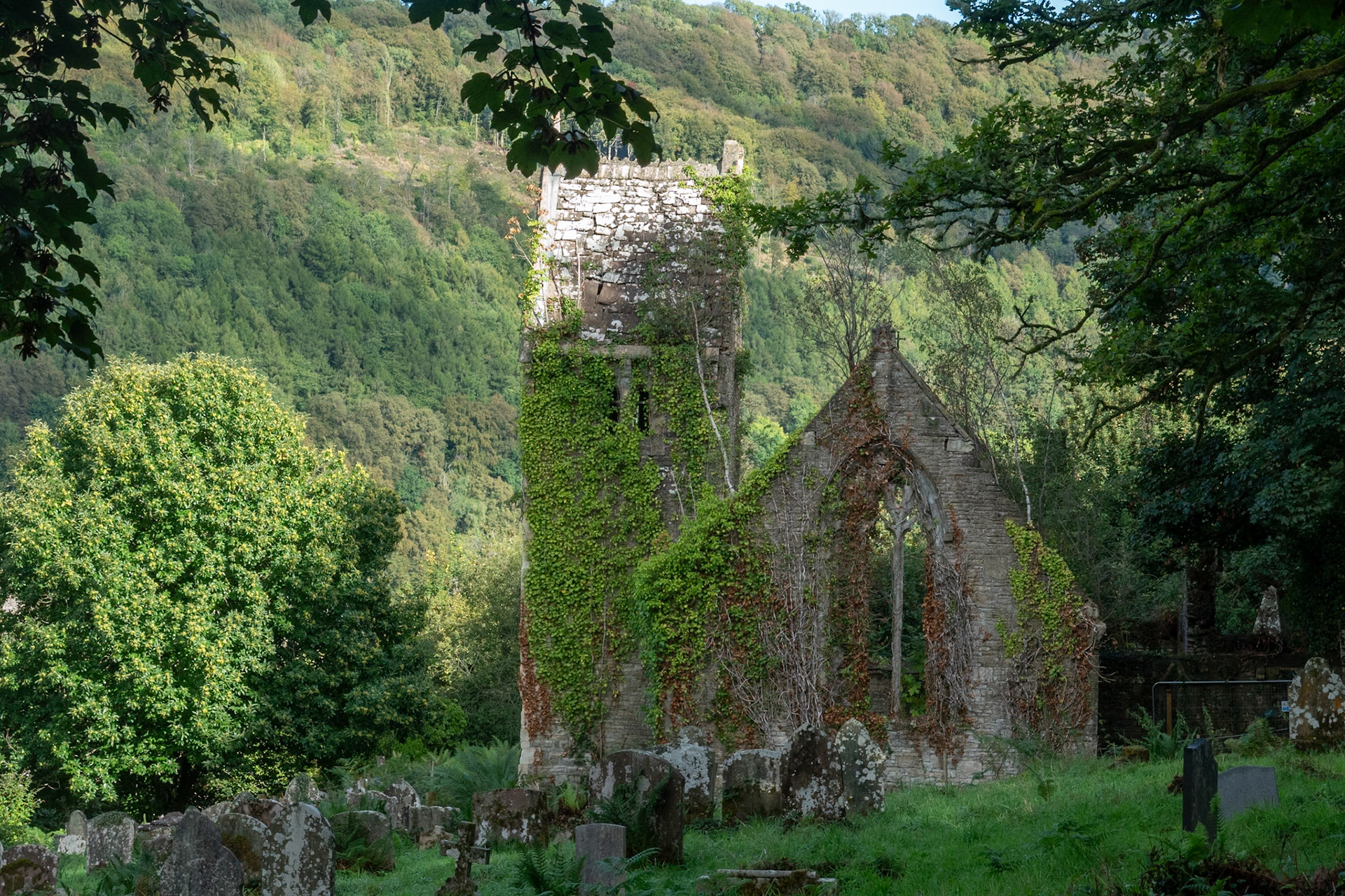 Ruins of St Mary's Church, Tintern