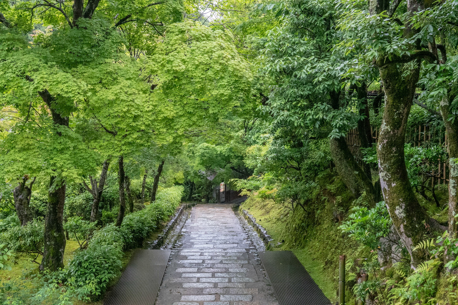 Adashino Nenbutsuji Templeあだし野念仏寺
