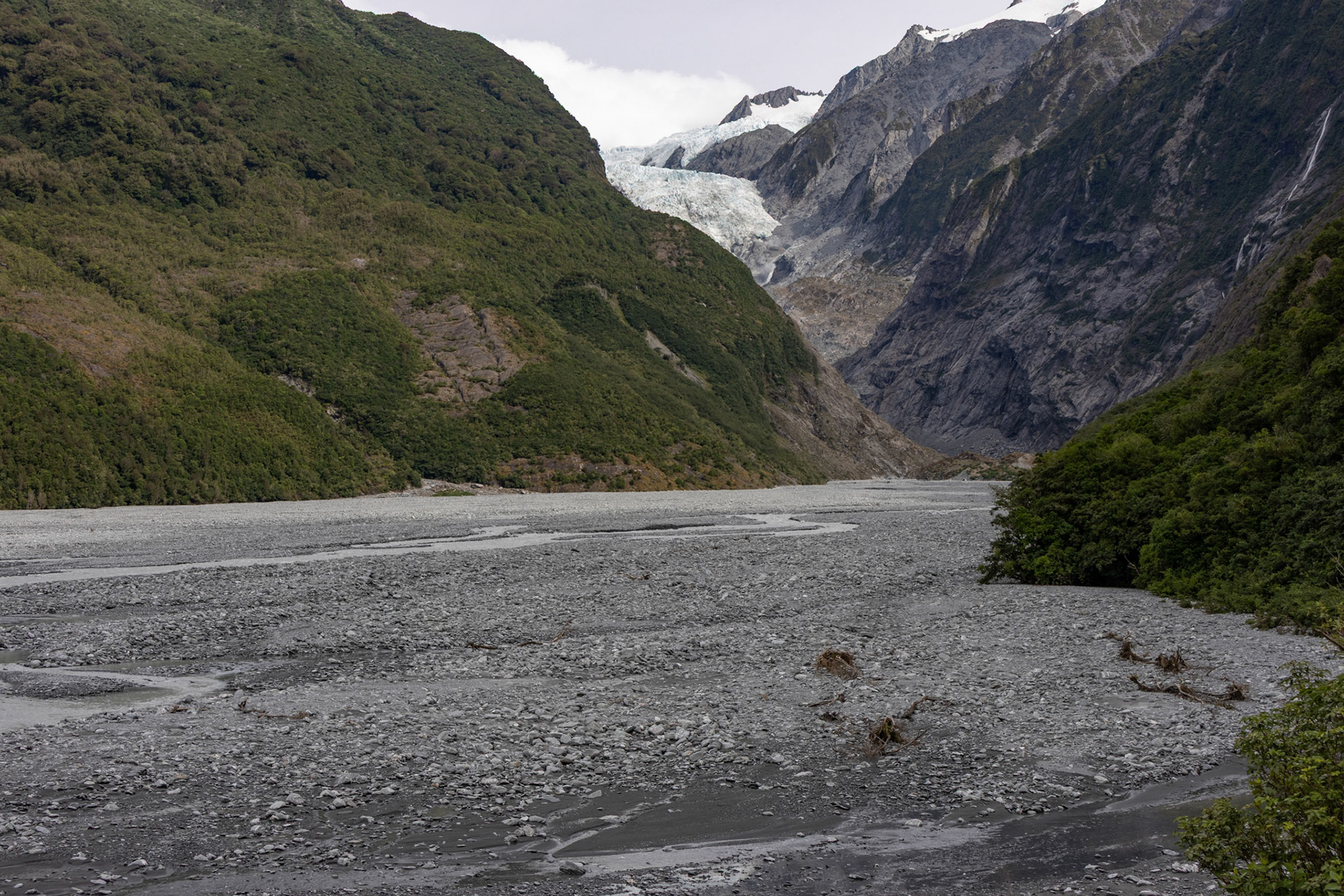 Franz Josef Glacier from the ground