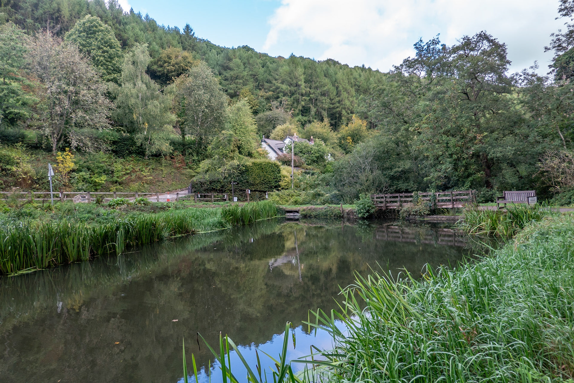 Pond - near Tintern on Angidy Trail