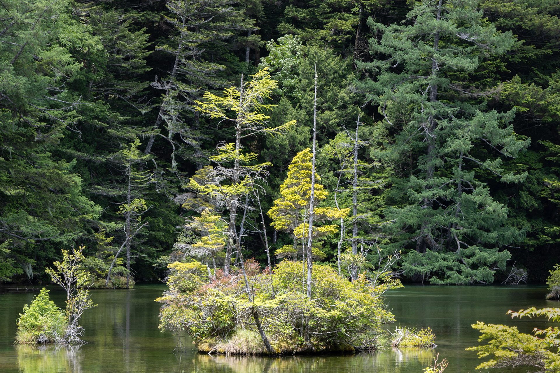 Myogin Pond