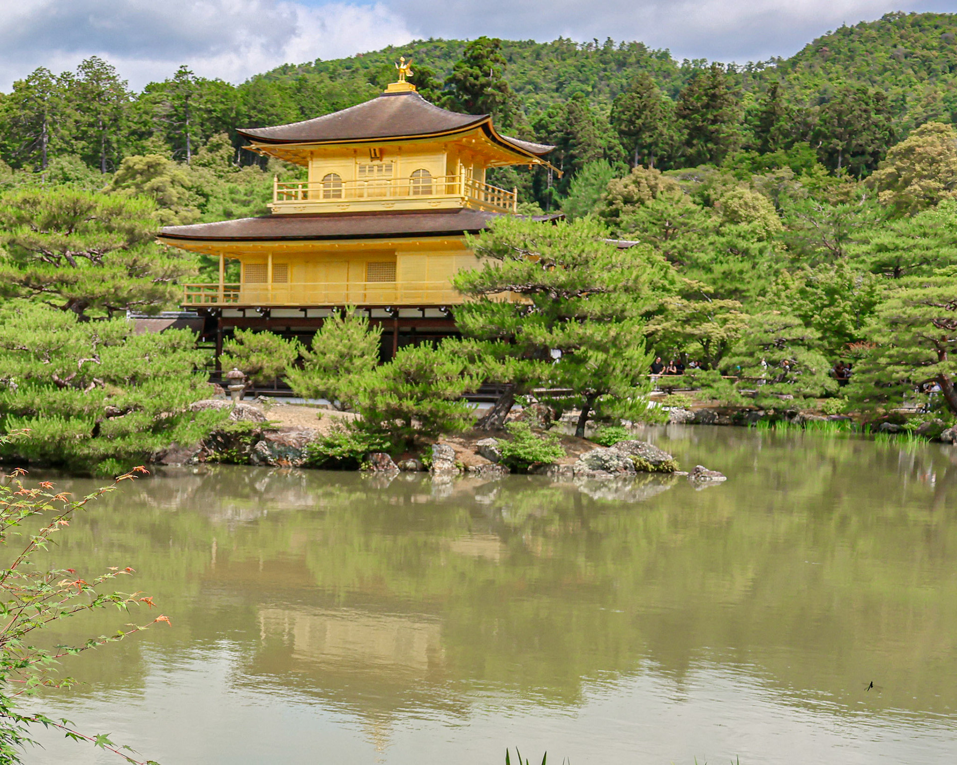 Kinkaku-ji (Golden Pavilion). Incredibly crowded, but paths well laid out so you got a good view of the whole thing