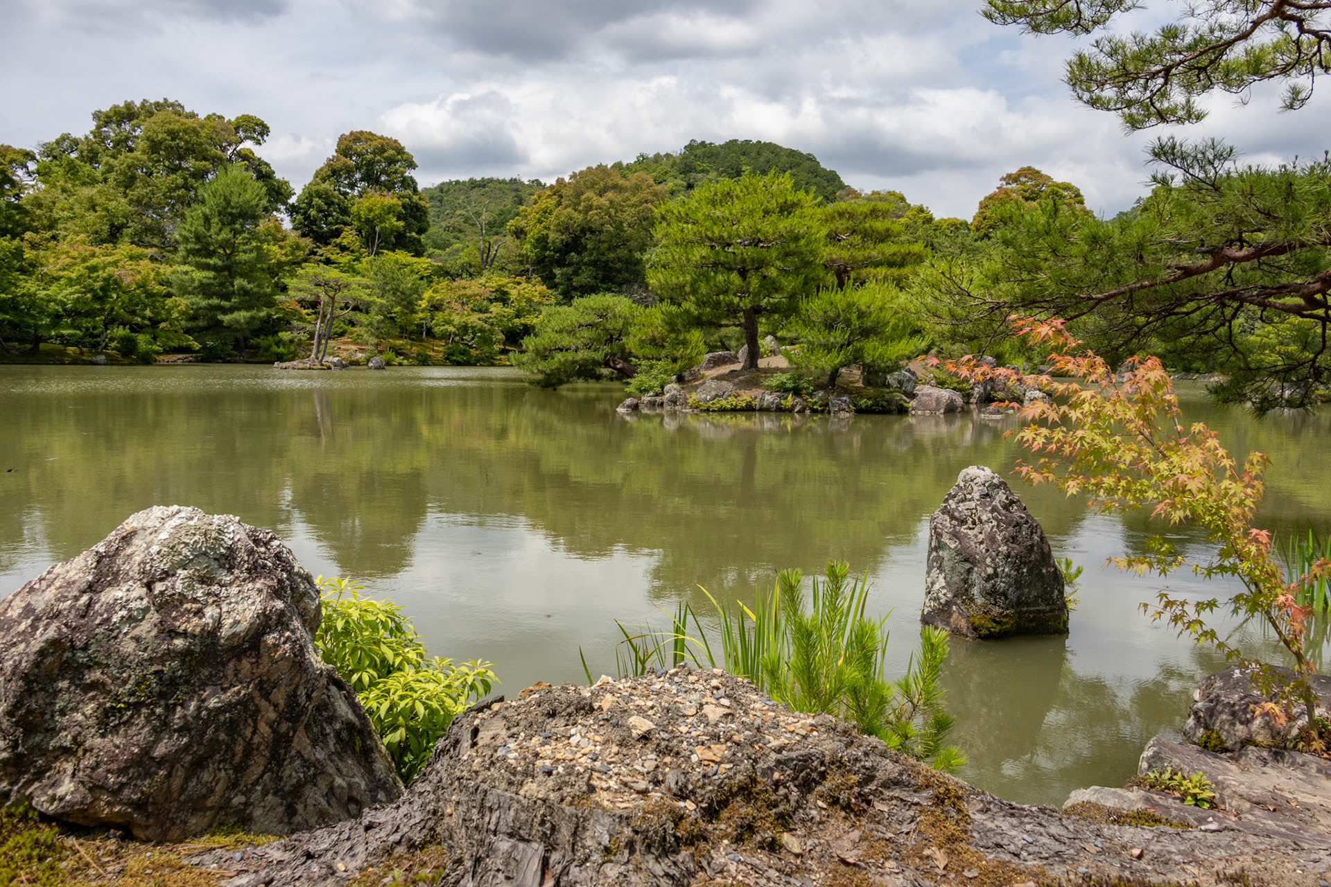 Gardens, Kinkaku-ji (Golden Pavilion).