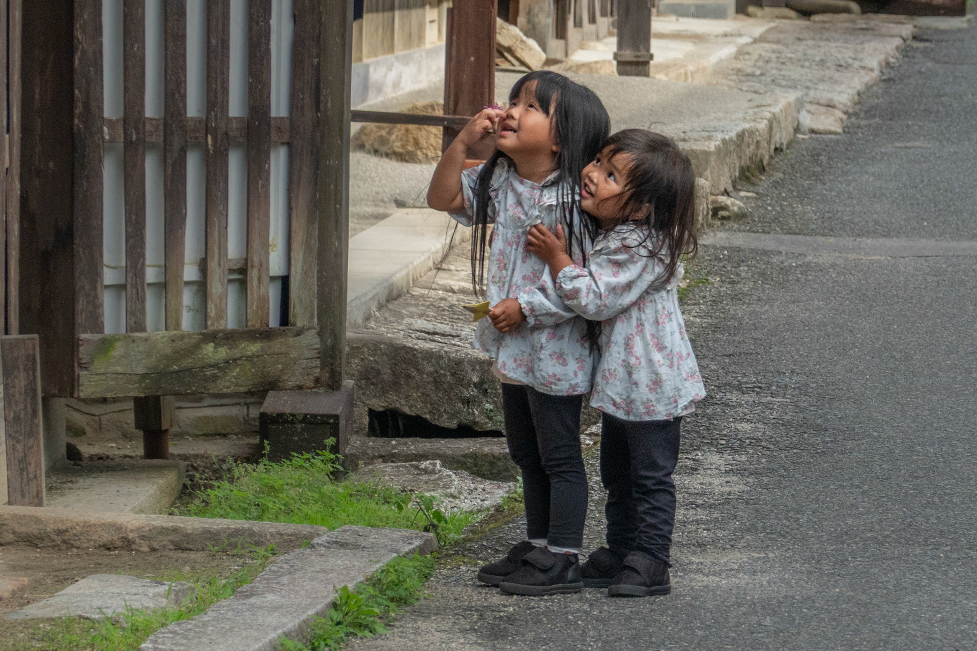 Giggly girls, Tsumago