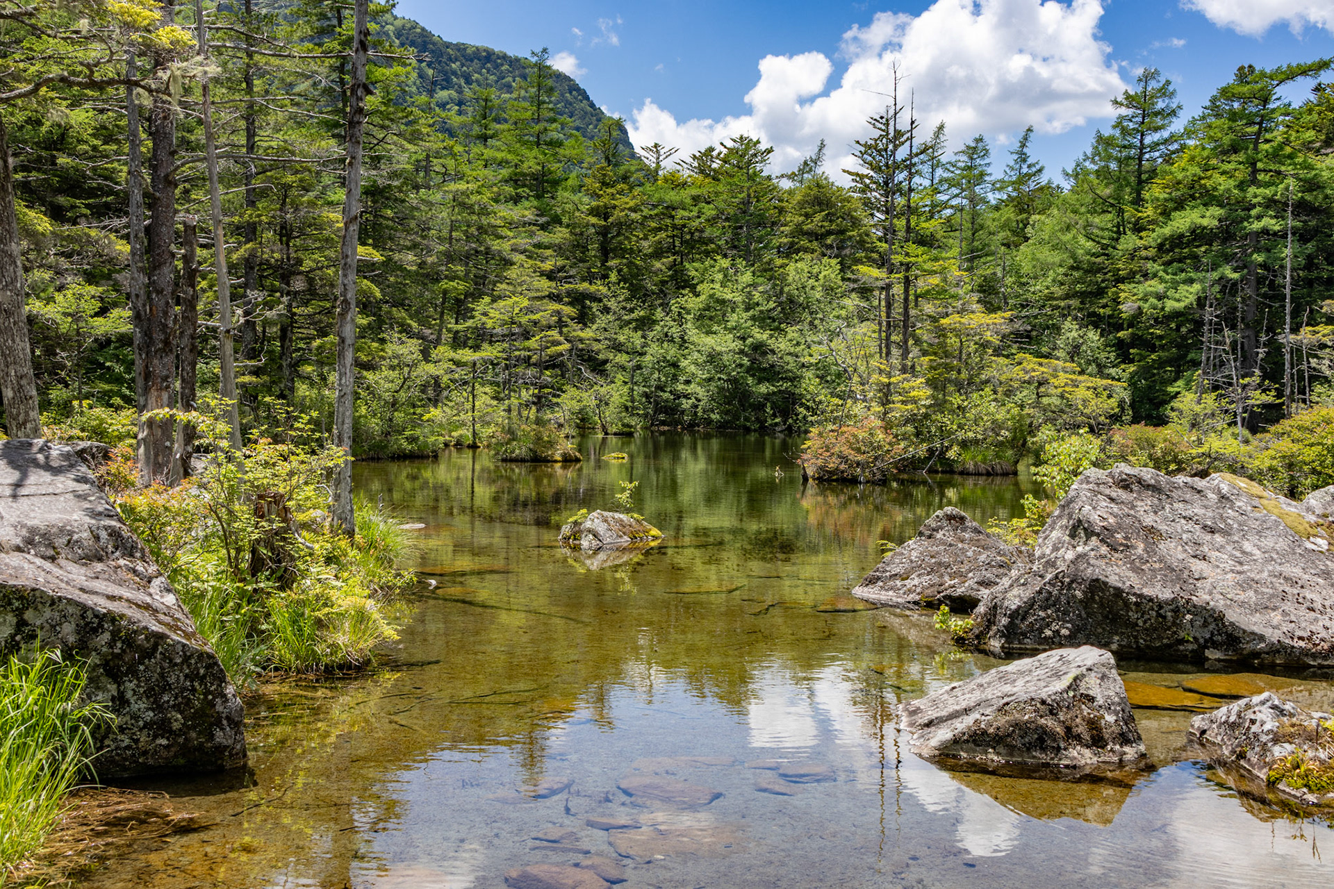 Myojin Pond
