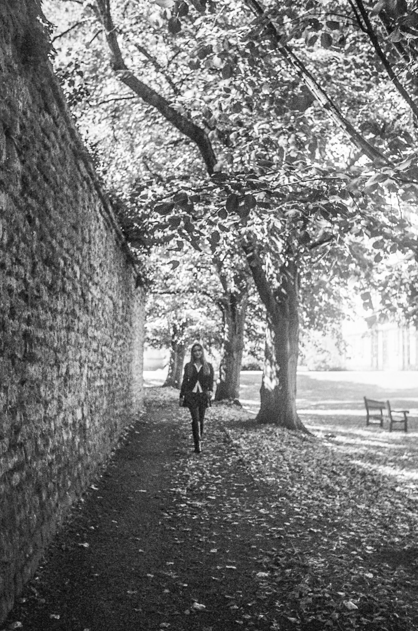 Grounds of New College