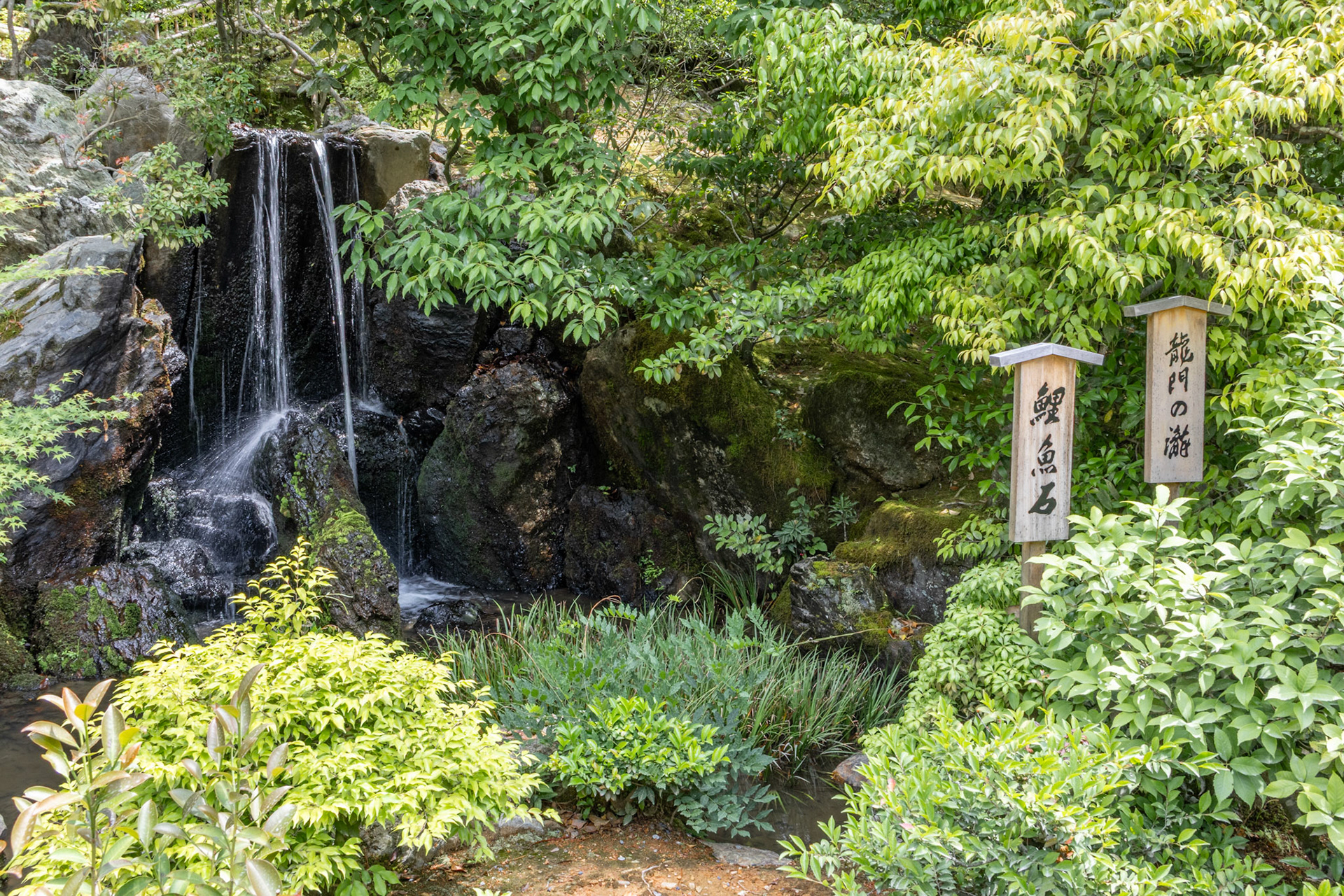 Waterfall, School party, Kinkaku-ji (Golden Pavilion)