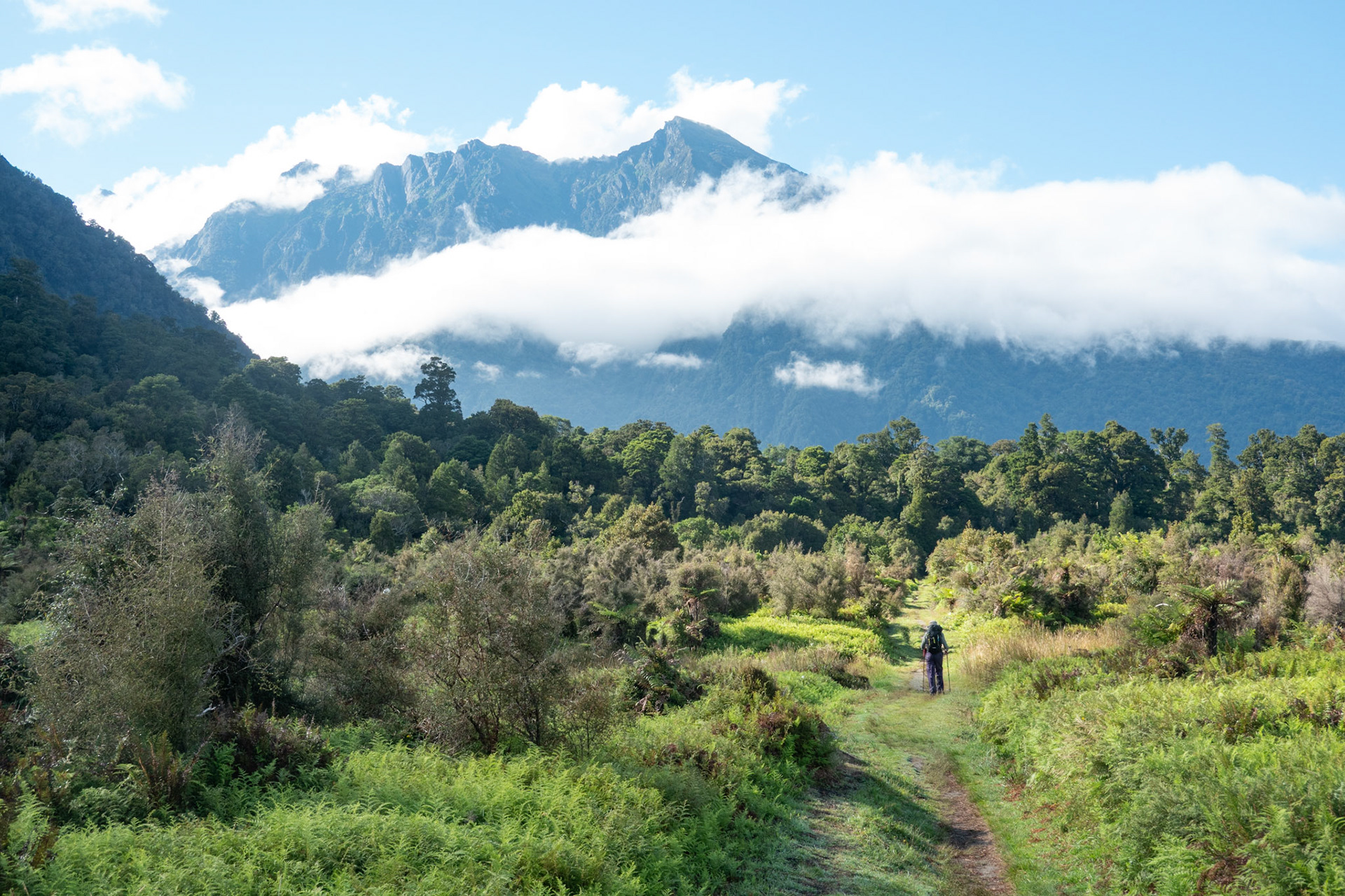 Walking into the Copland River Valley