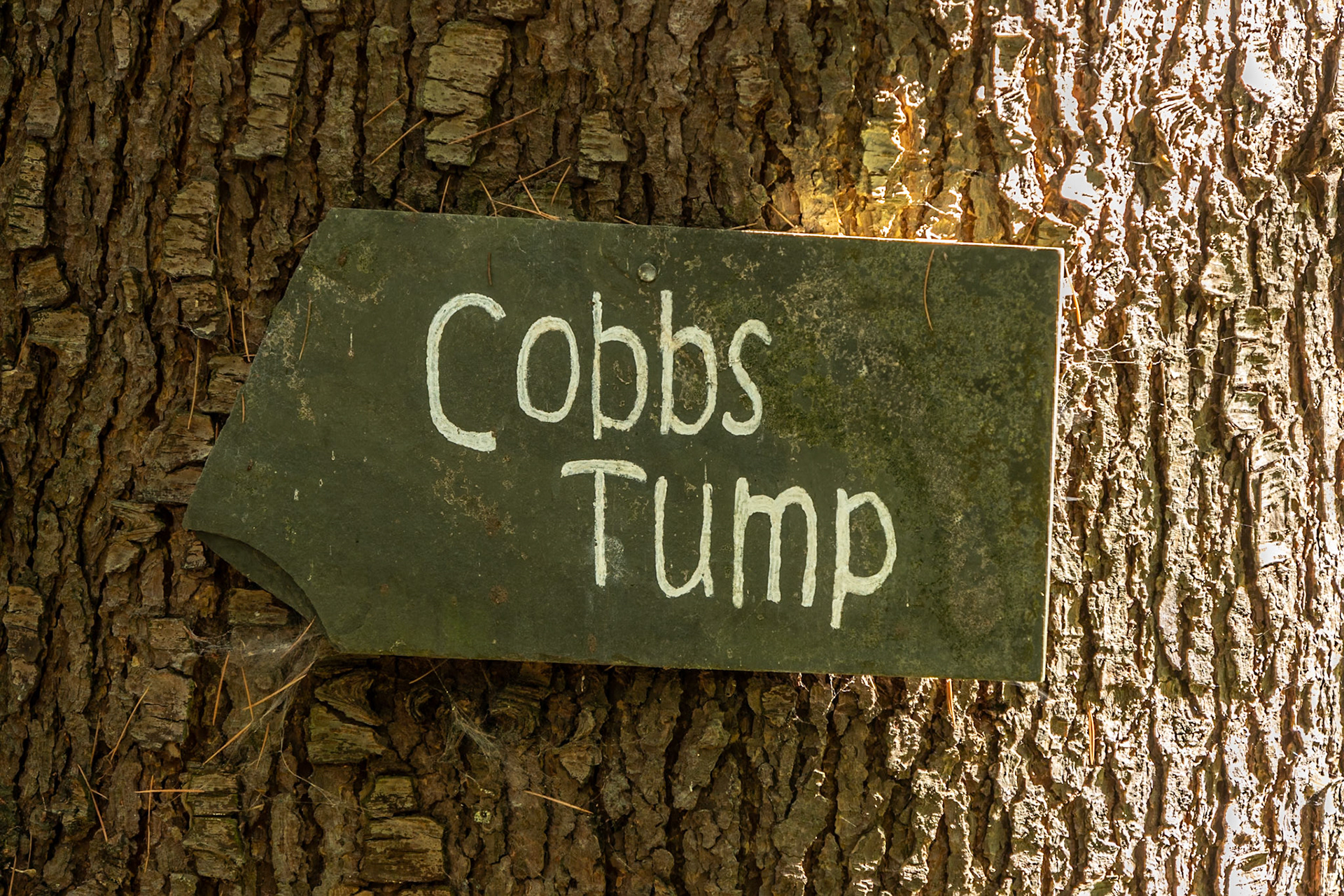 A tump is apparently a small mound