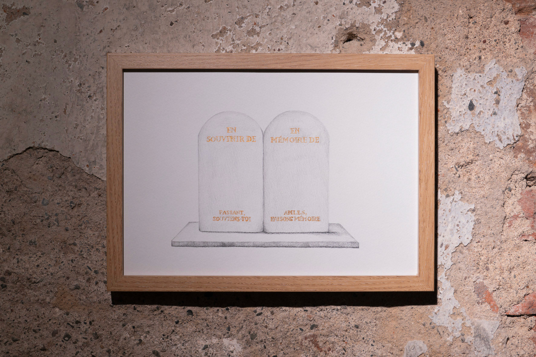 Vue exposition - Soigner les vivants - Abri-Mémoire (68) - été 2024 - Photos : Anaïs Marion 