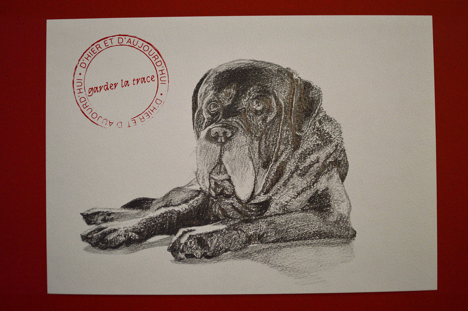 " Garder la trace d'hier et d'aujourd'hui " - série de dessins au crayon et sérigraphiés sur papier - 2022 - vue de l'exposition "Identité(s)" au Collectif des Possibles février 2022