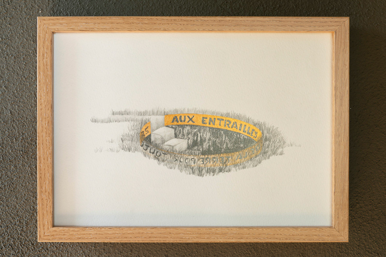 Vue exposition - Soigner les vivants - Abri-Mémoire (68) - été 2024 - Photos : Anaïs Marion 