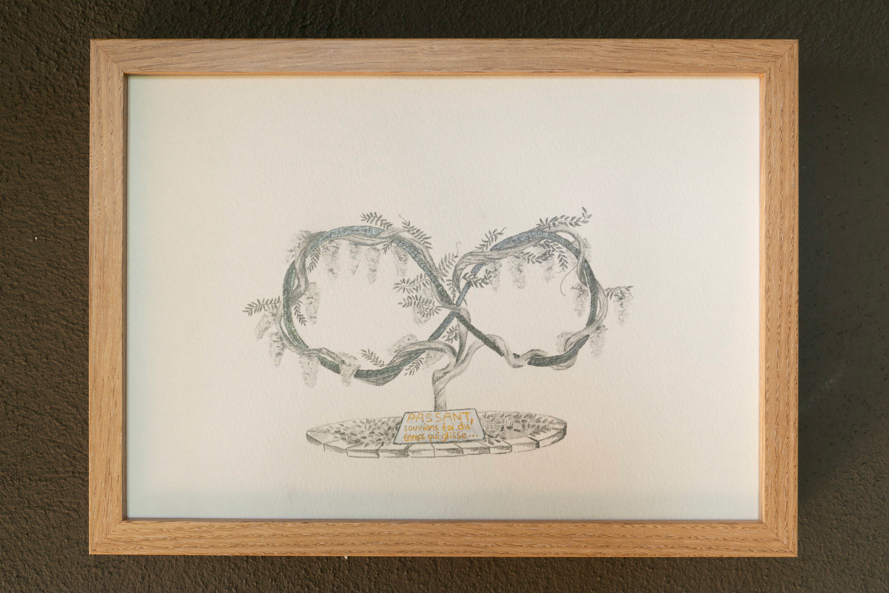 Vue exposition - Soigner les vivants - Abri-Mémoire (68) - été 2024 - Photos : Anaïs Marion 