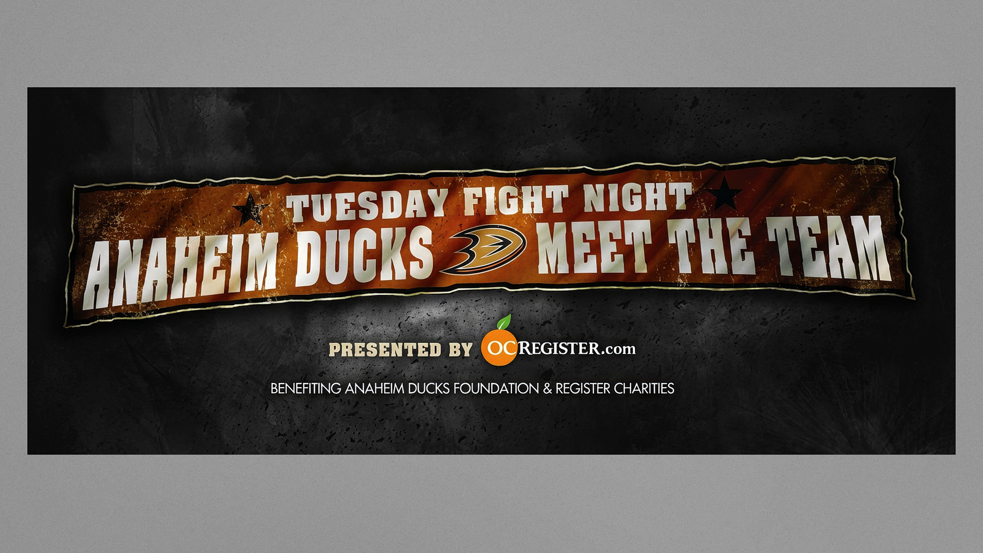 Anaheim Ducks - Meet The Team Banner