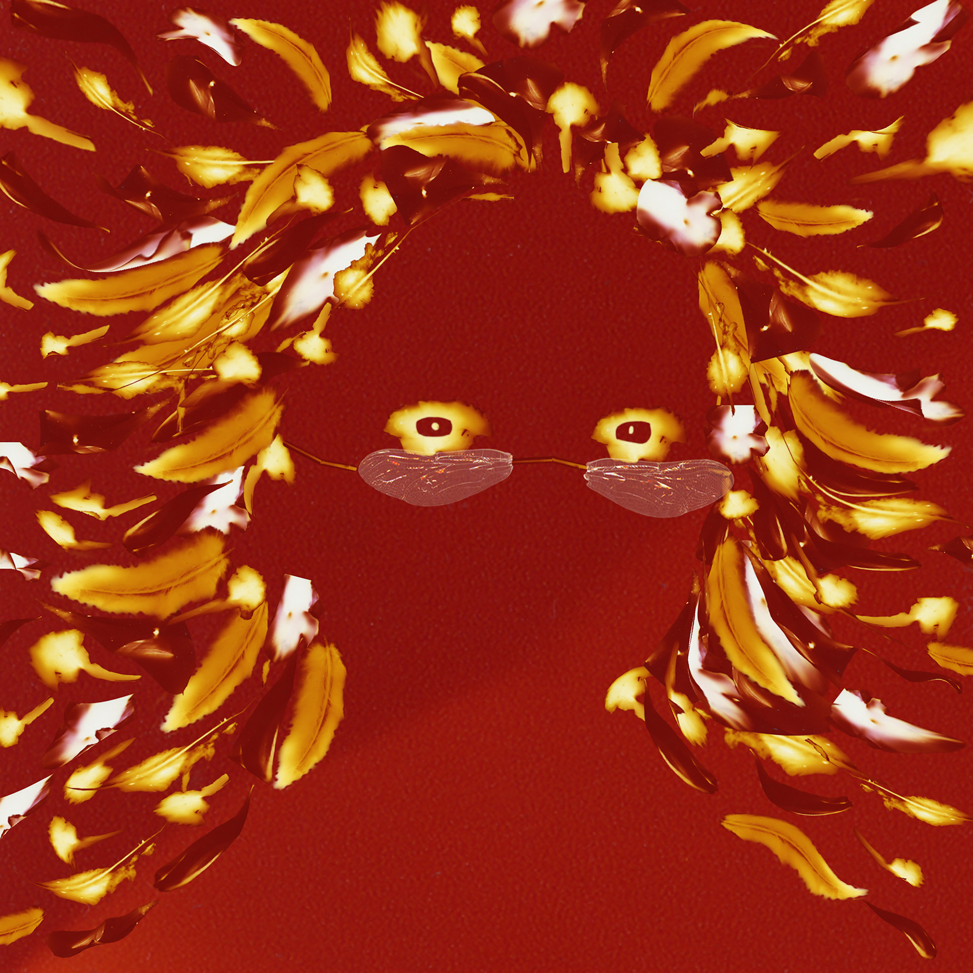 Self Portrait in Red, 2024, inkjet print, 14 x 14 in.