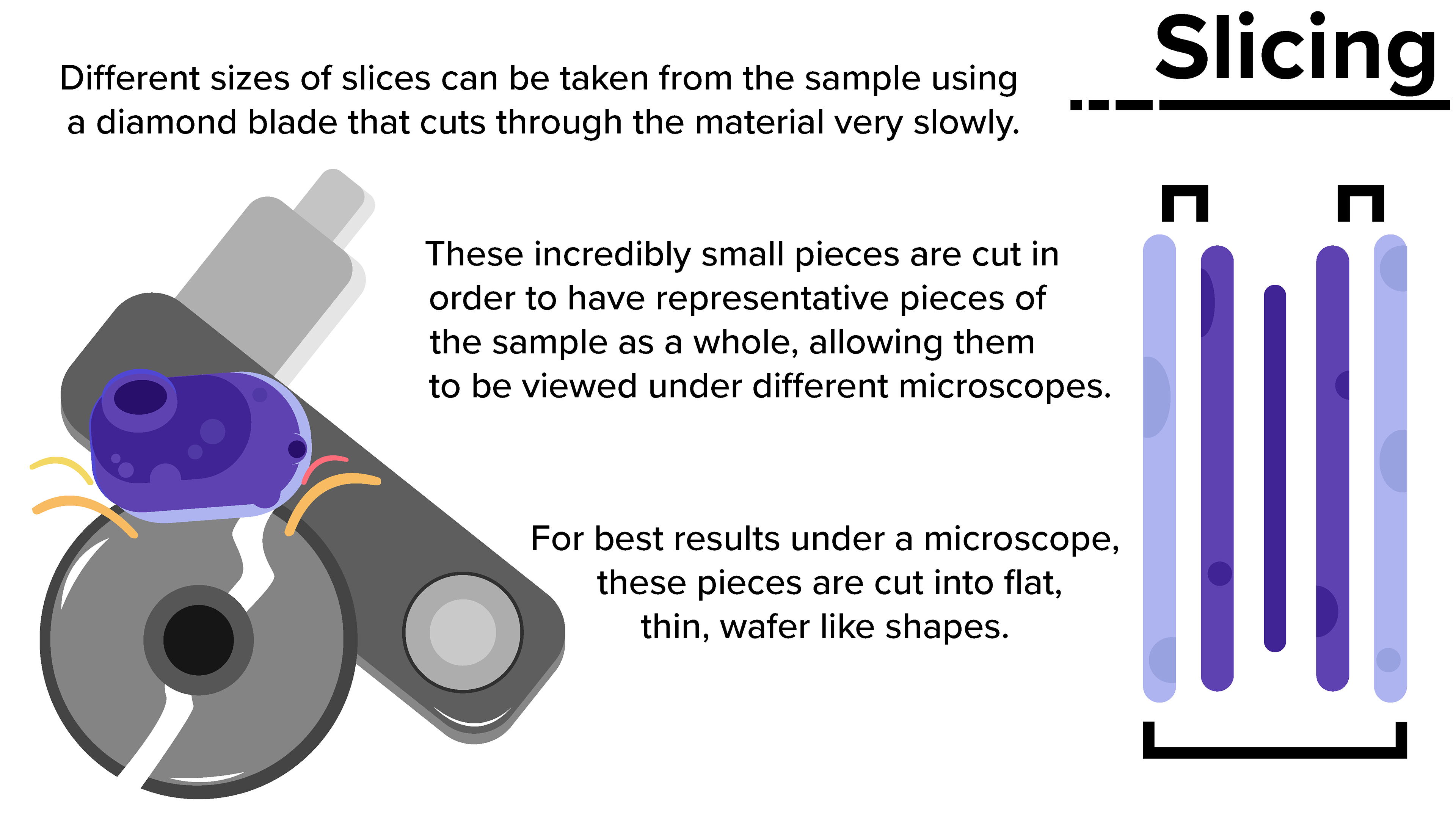 Psyche Course Slideshow Example C
