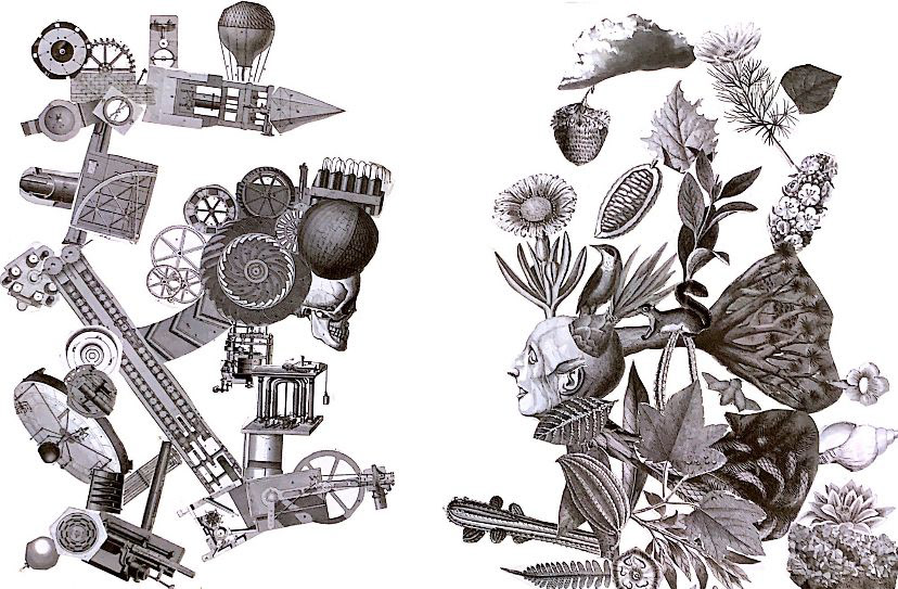 Nature vs. Machine