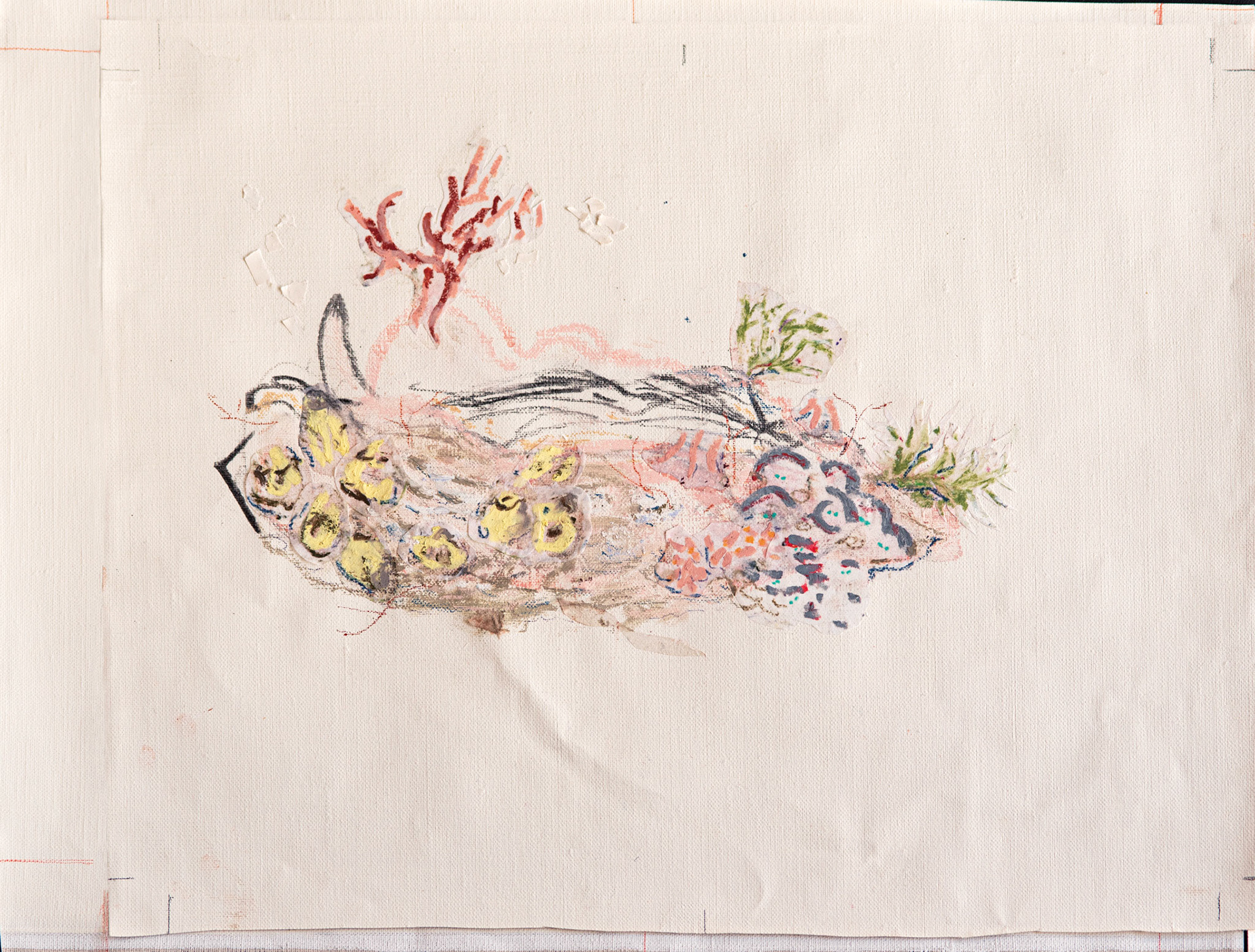 With oysters, we are