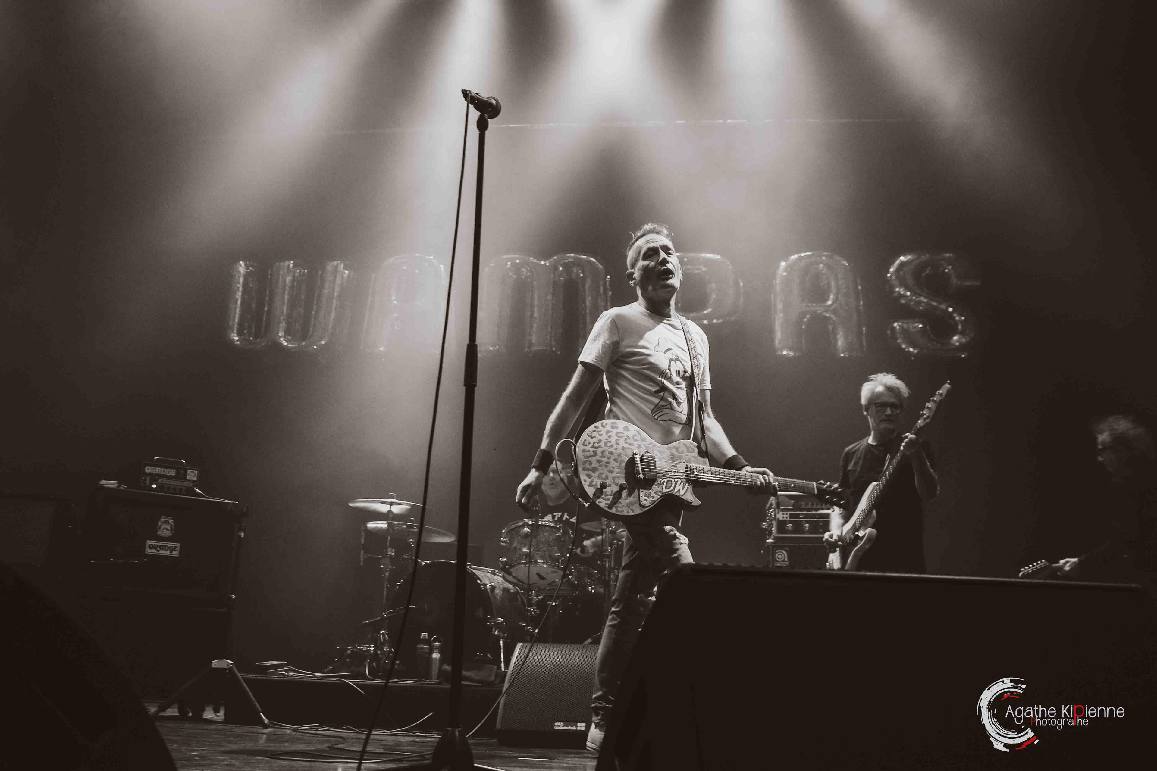 LES WAMPAS // La coopérative de mai