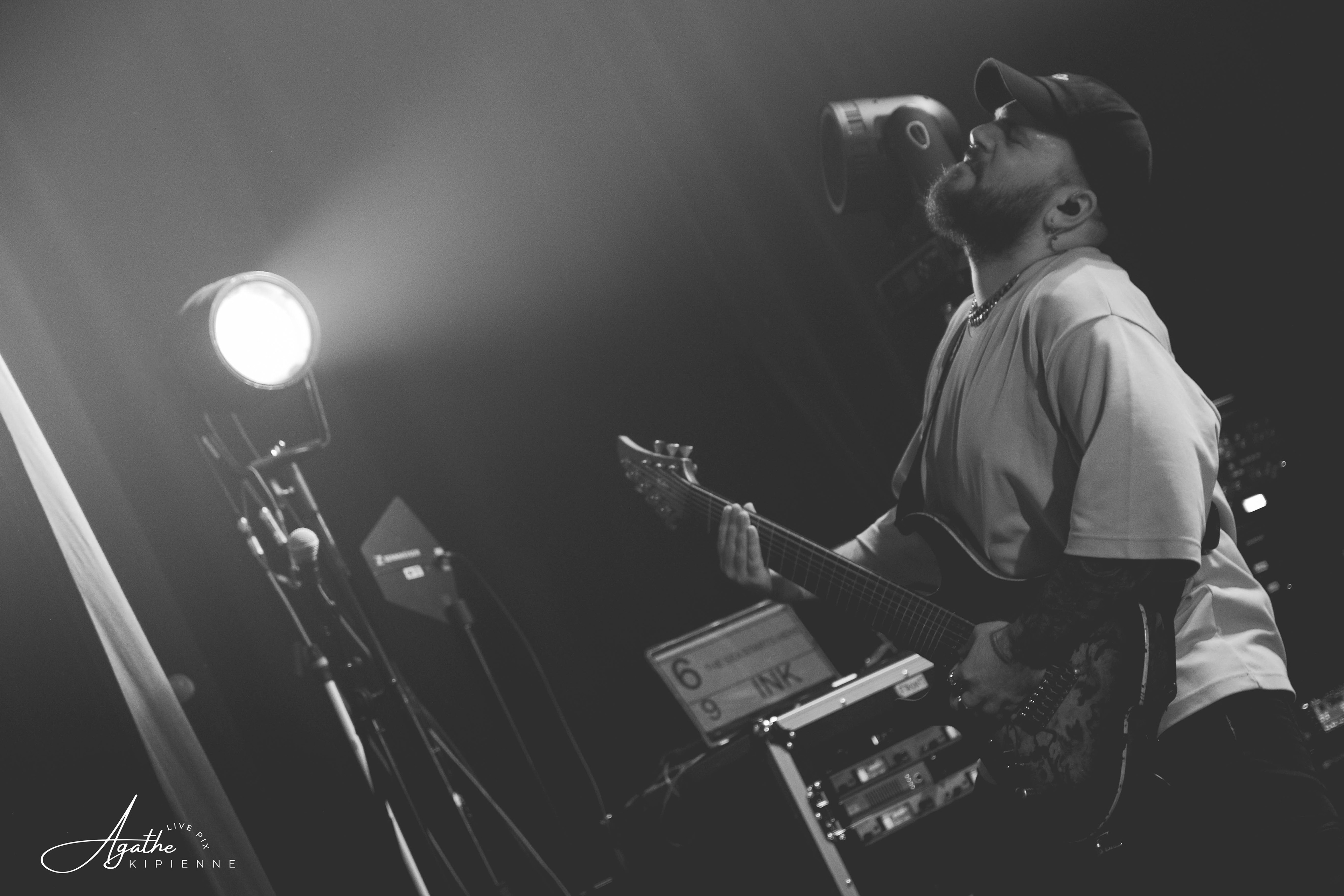 DALI // Puce à l'oreille