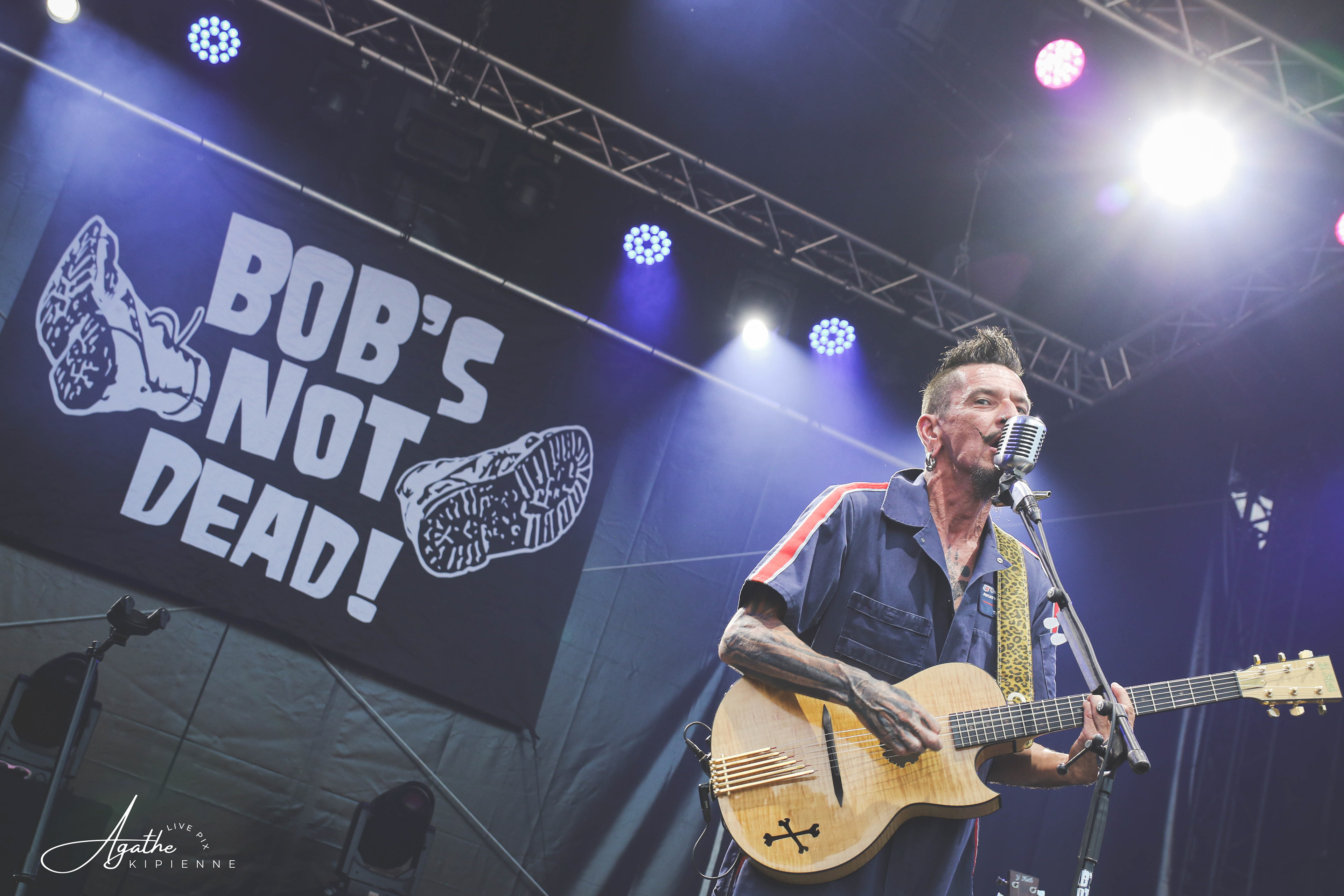 BOB'S NOT DEAD