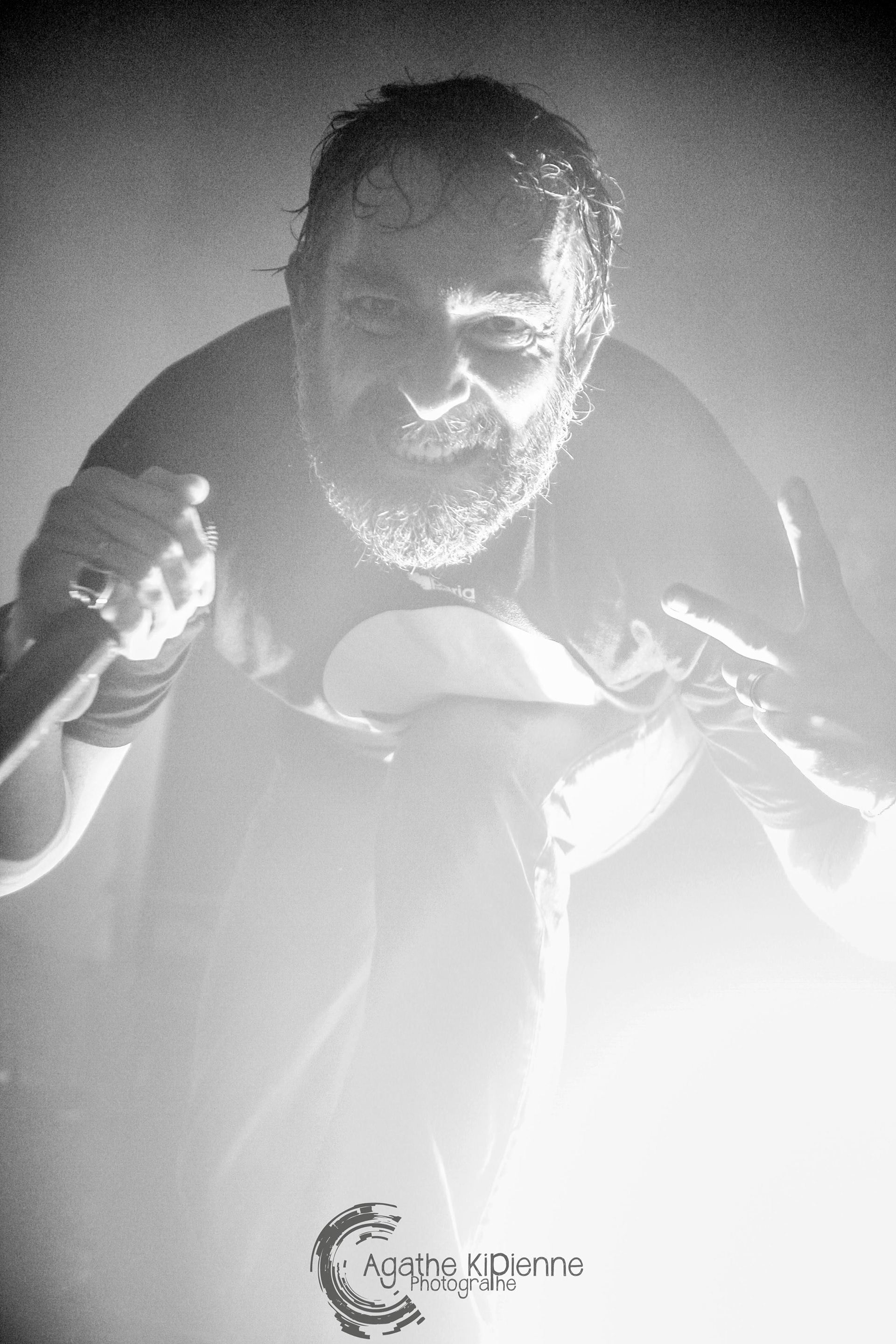 Mass Hysteria / Puce à l'oreille