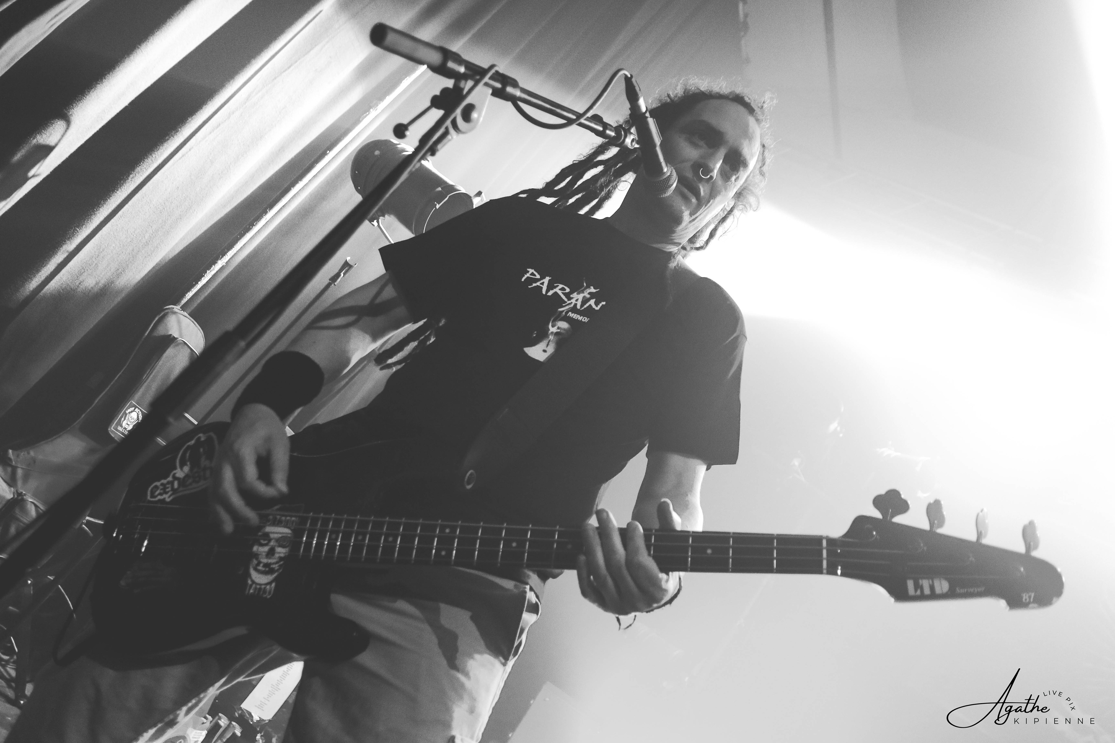 THE EXPLOITED // La puce à l'oreille