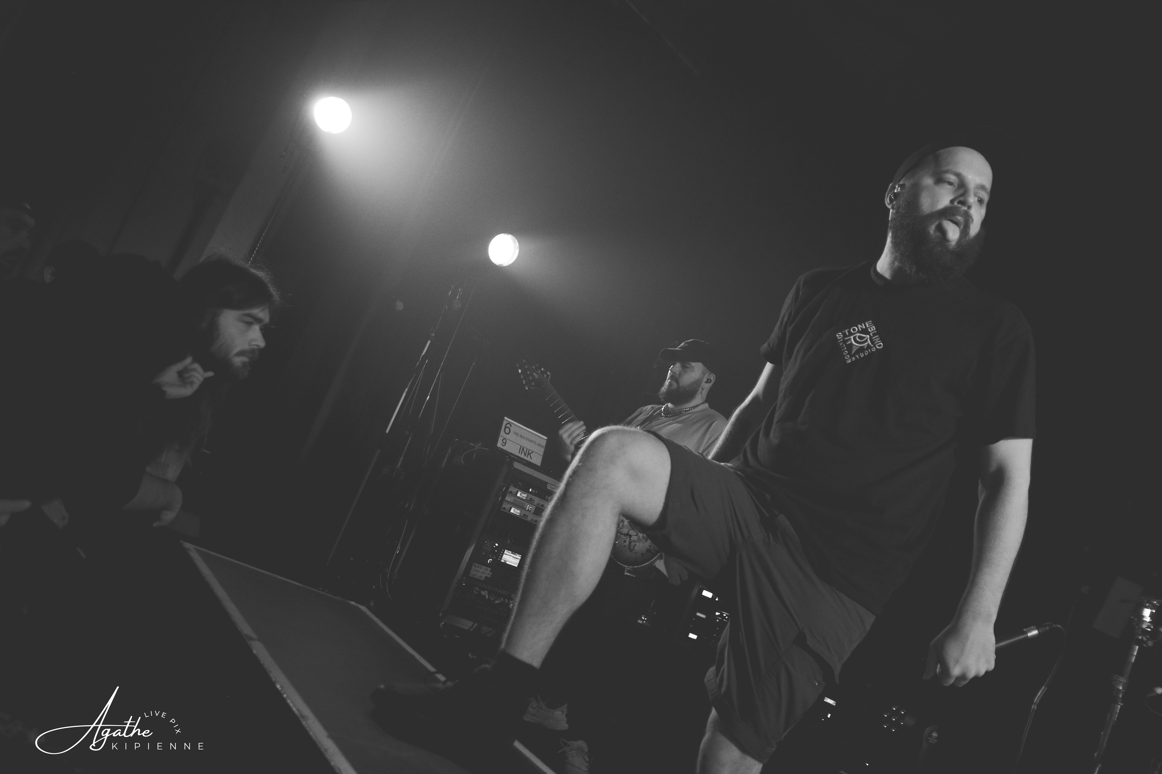 DALI // Puce à l'oreille