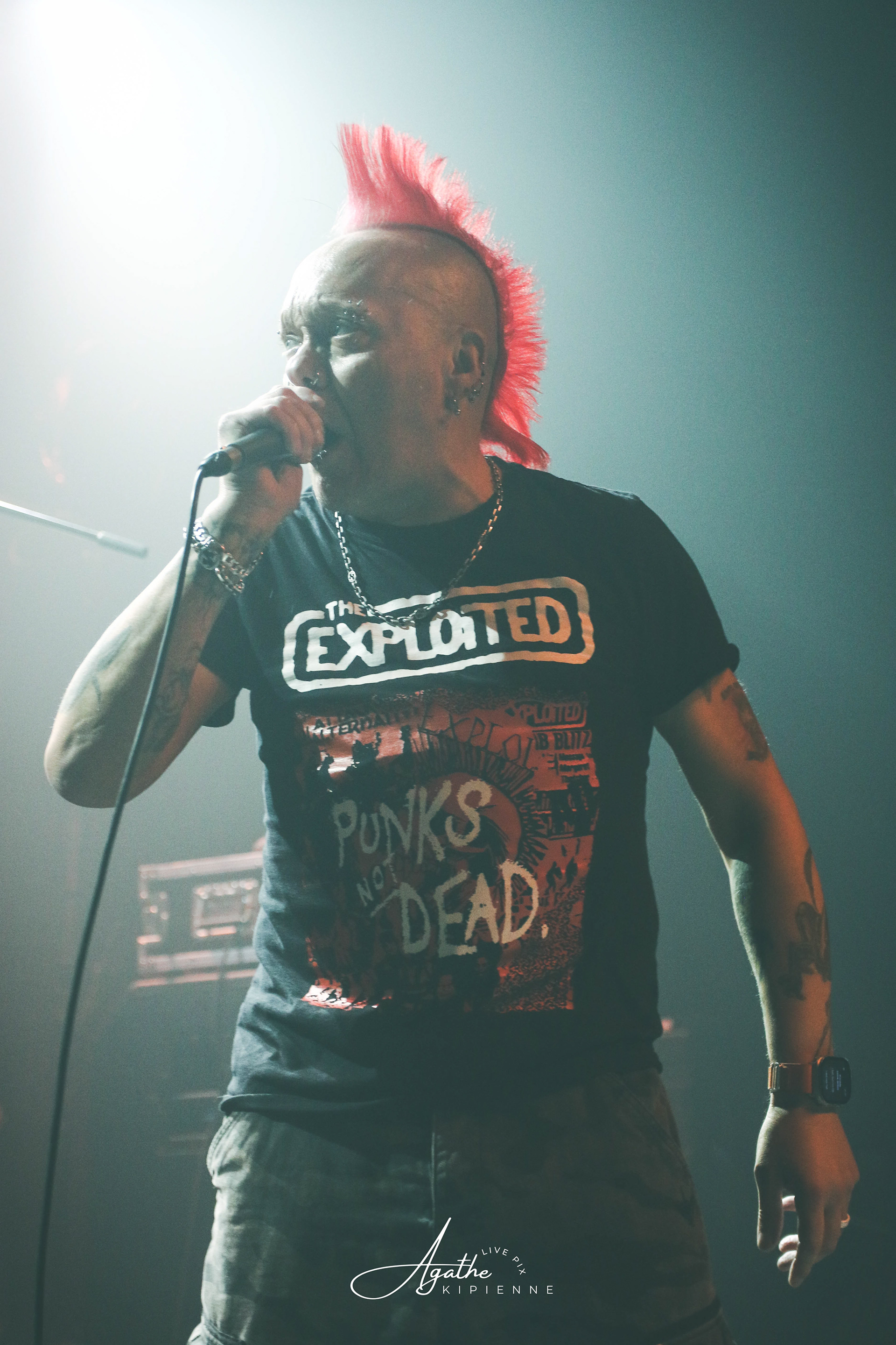 THE EXPLOITED // La puce à l'oreille