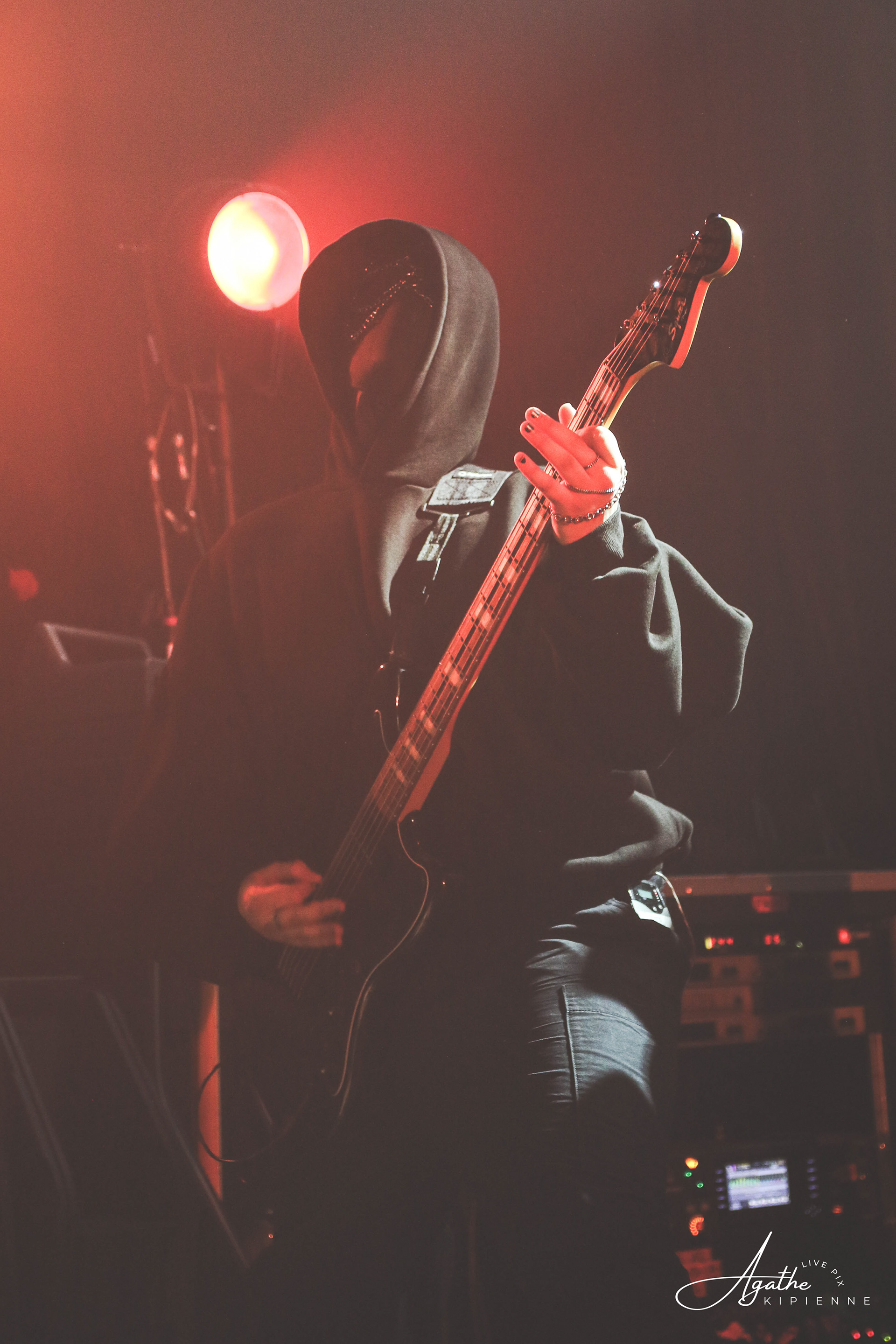 SOLITARIS // Puce à l'oreille