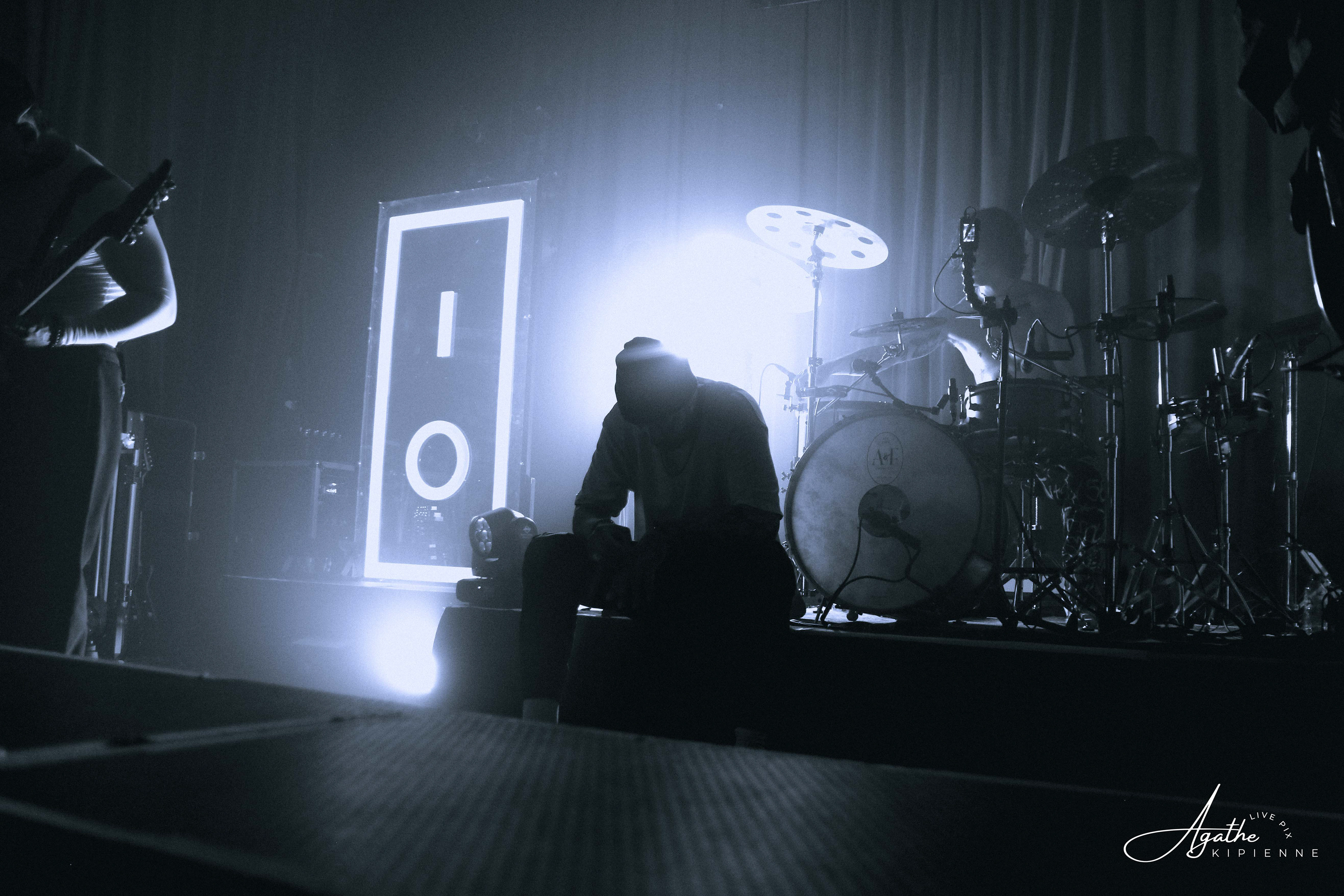 TEN56. // Puce à l'oreille