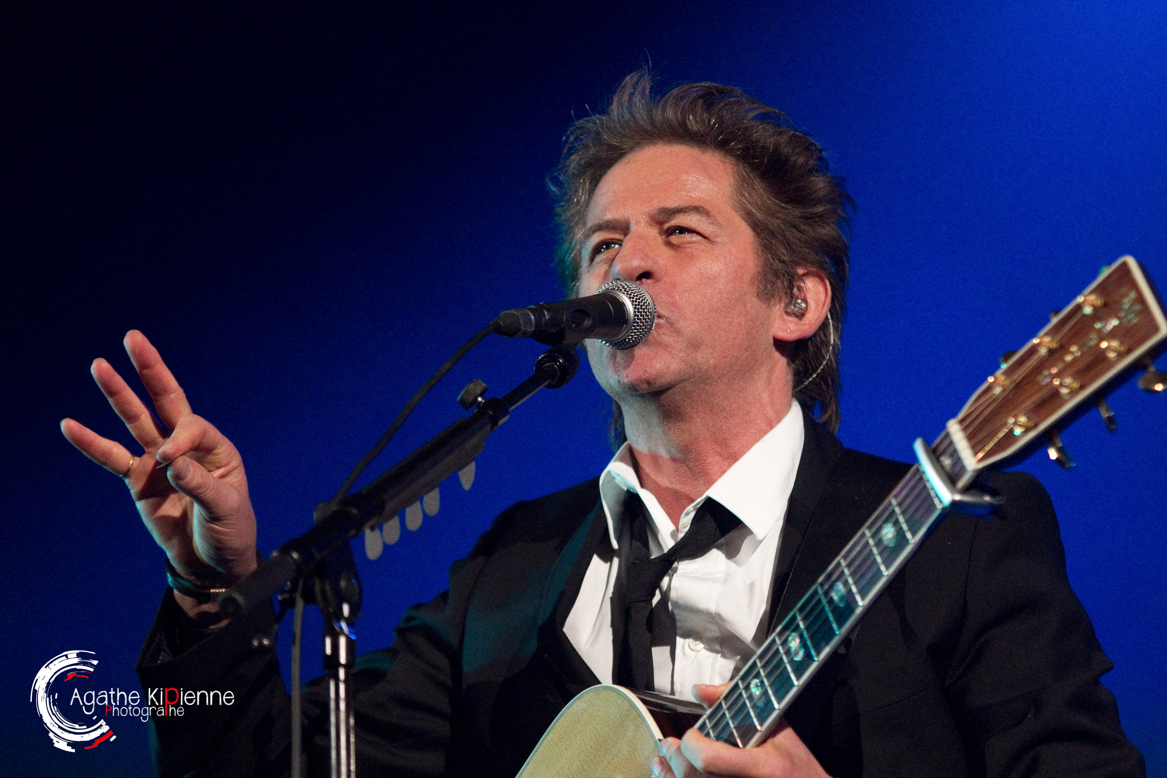 Hubert Felix THIEFAINE / Bercy