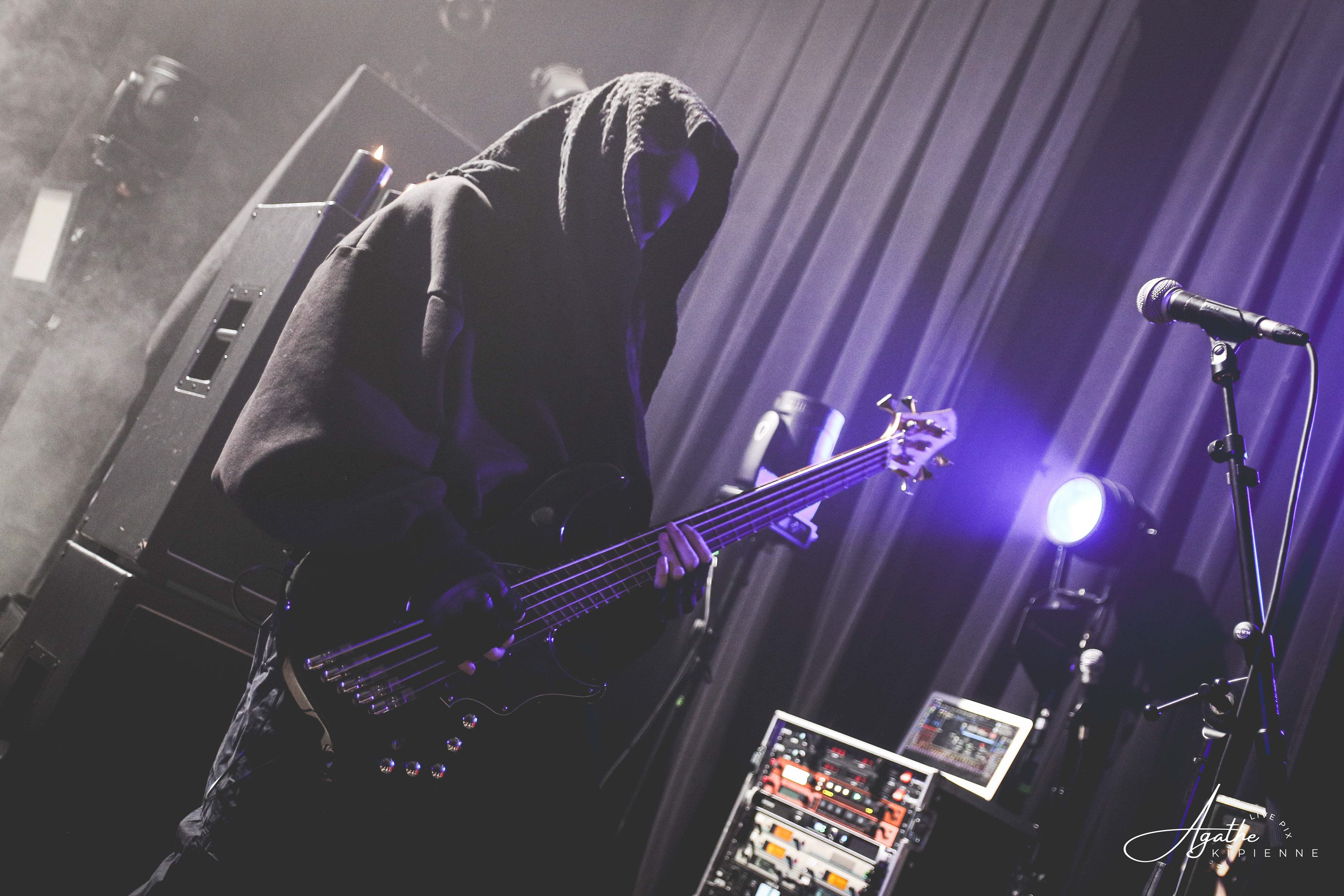 SOLITARIS // Puce à l'oreille