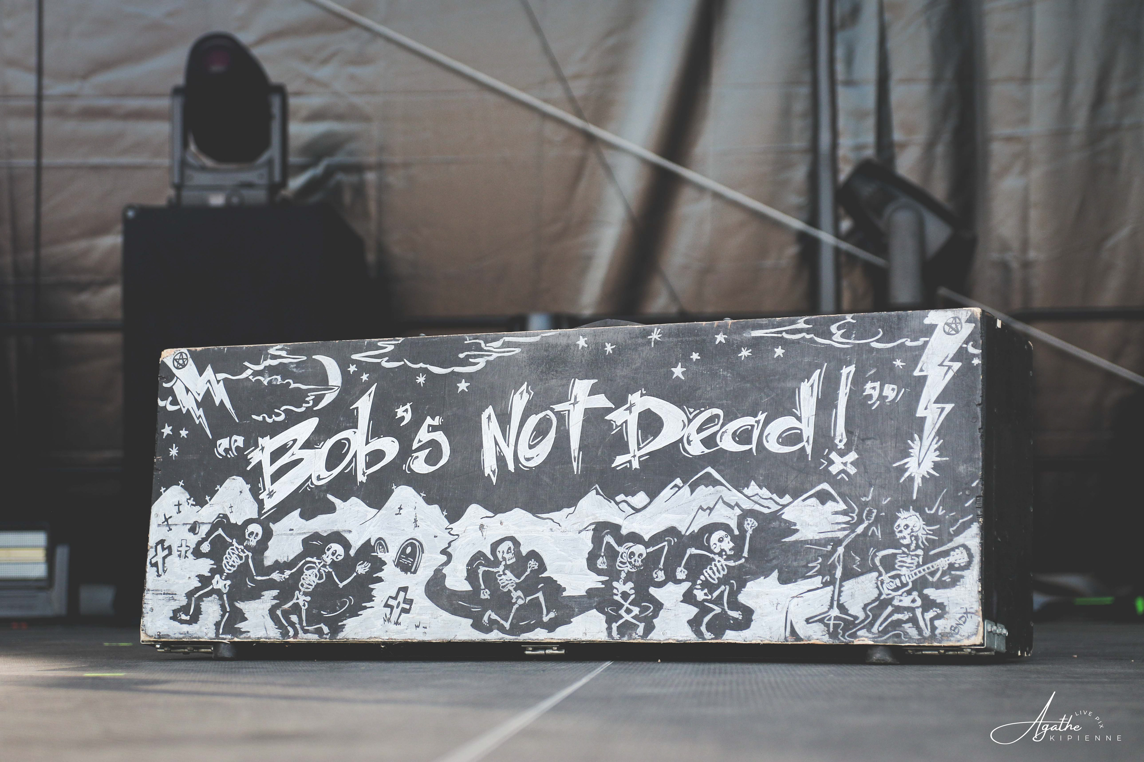 BOB'S NOT DEAD