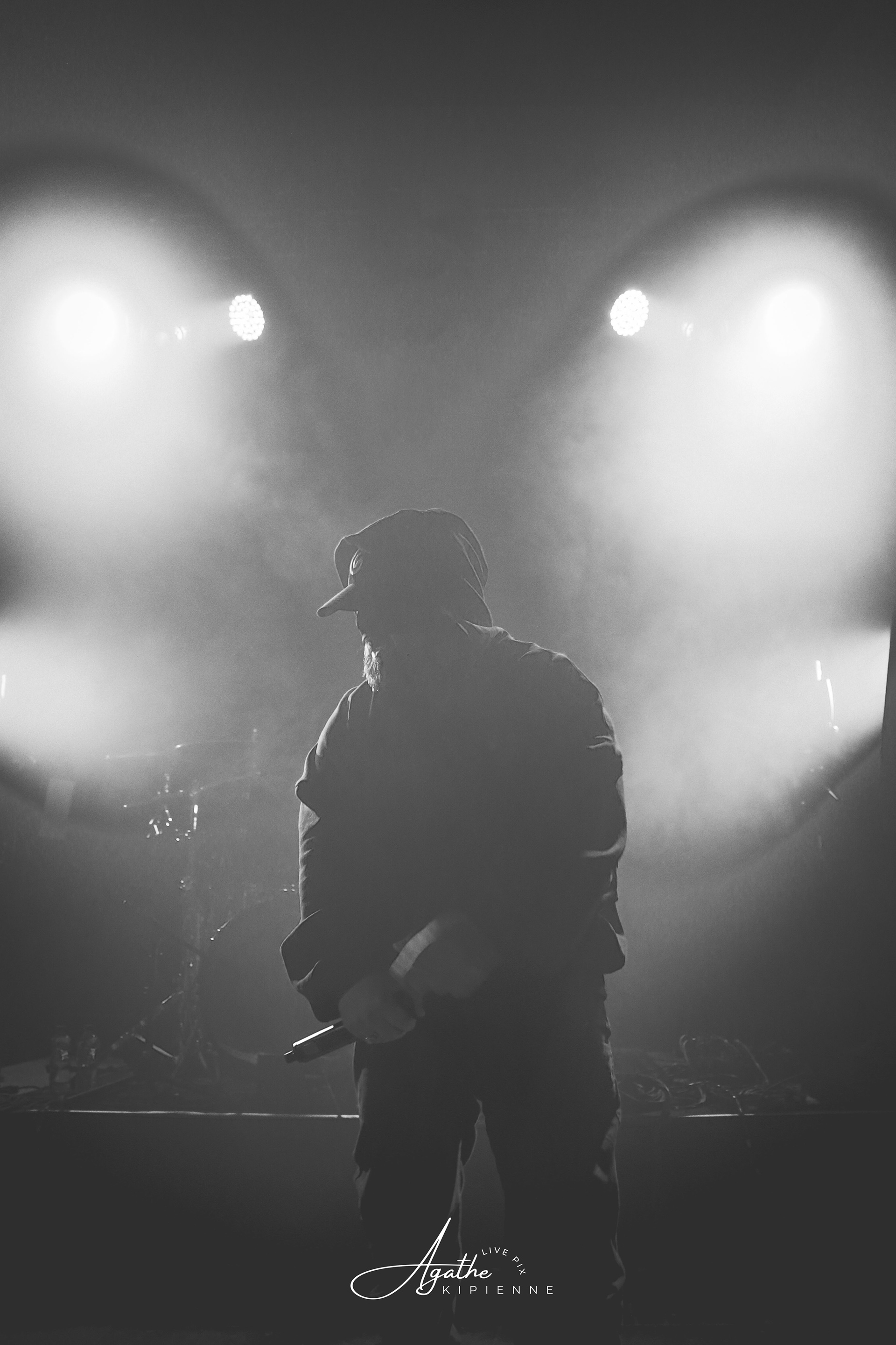 SOLITARIS // Puce à l'oreille