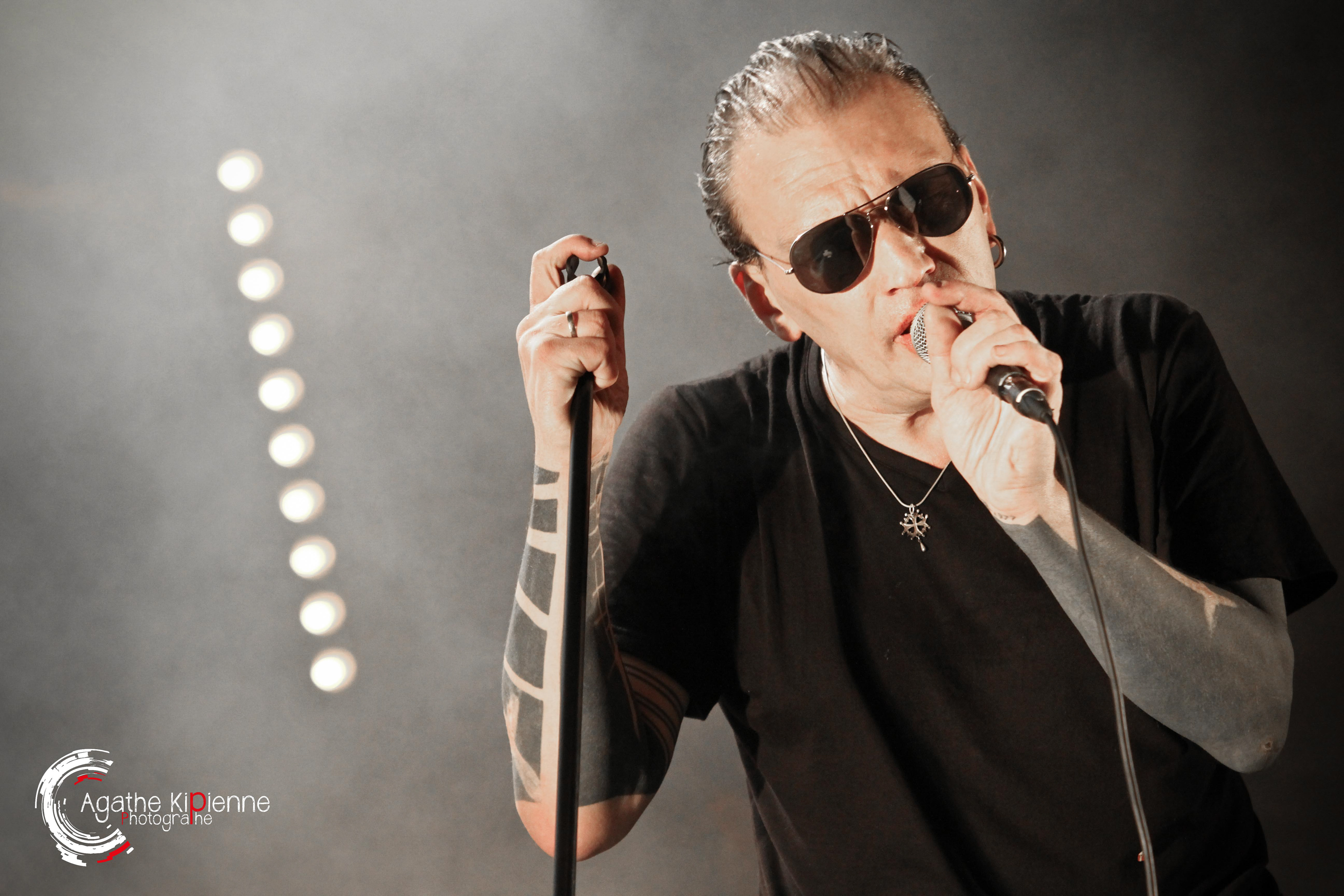 Daniel DARC / Fête de l'humanité